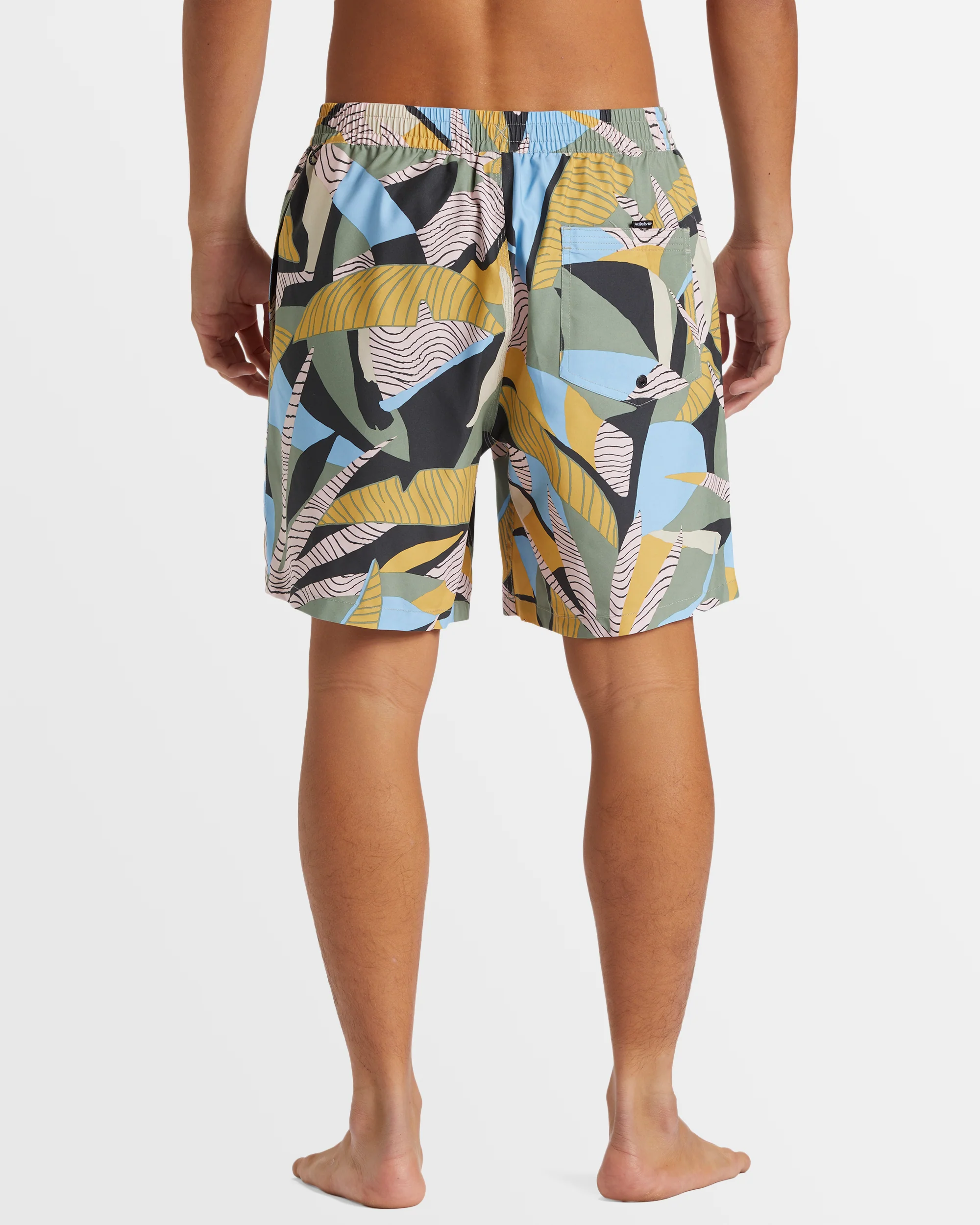 Mens Everyday Mix 17 Boardshorts