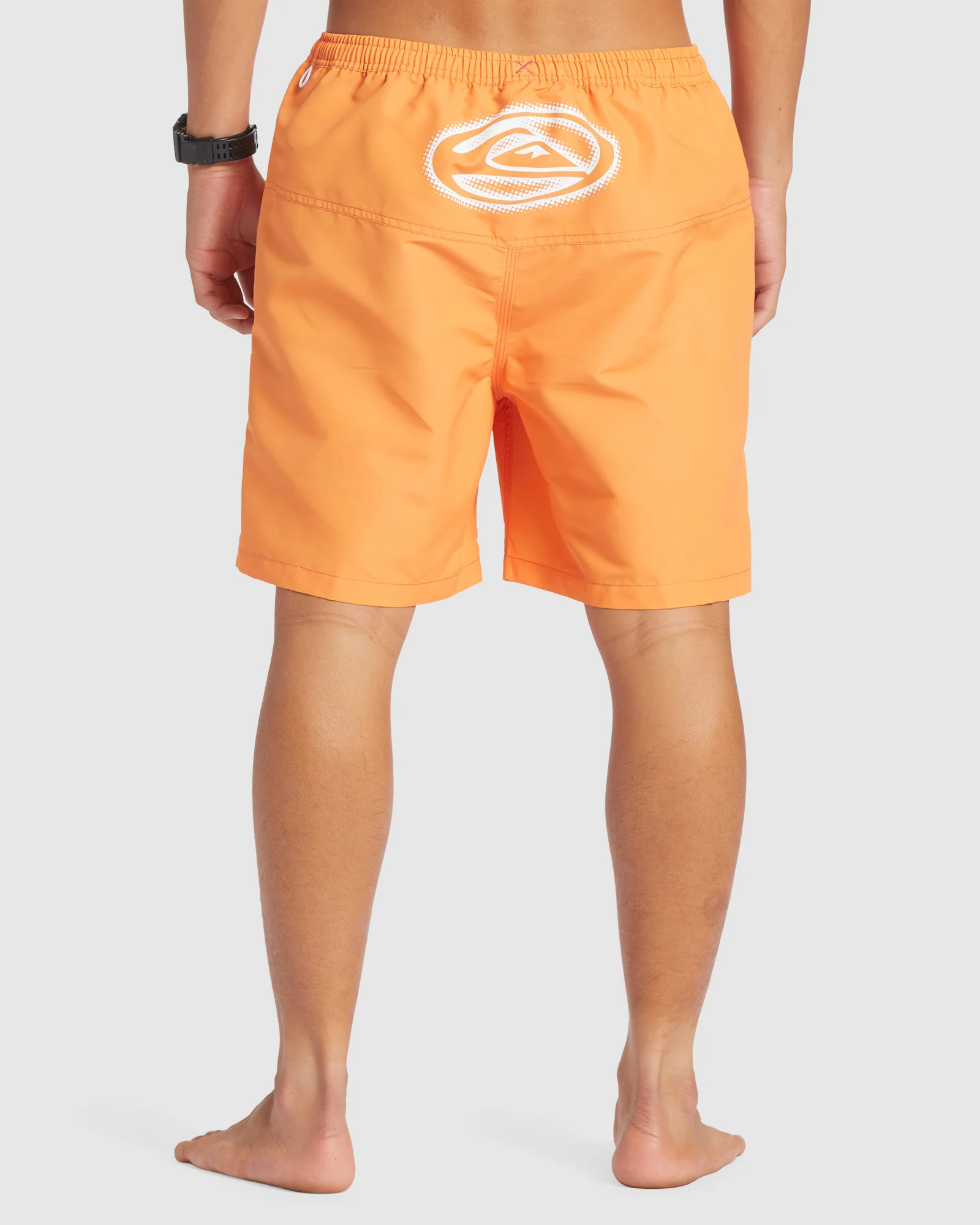 Mens Flight Volley 18 Swim Shorts
