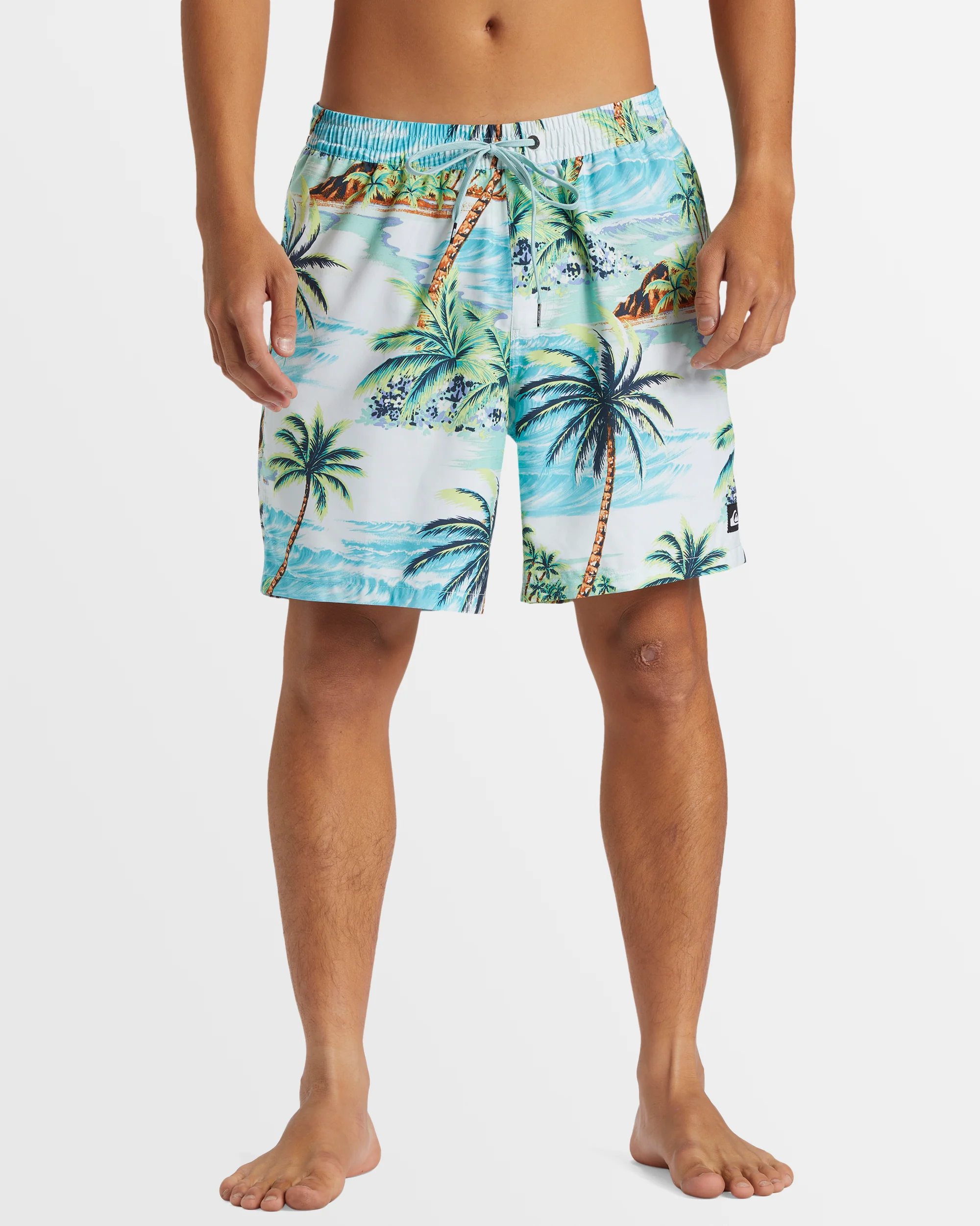 Mens Everyday Mix 17 Boardshorts