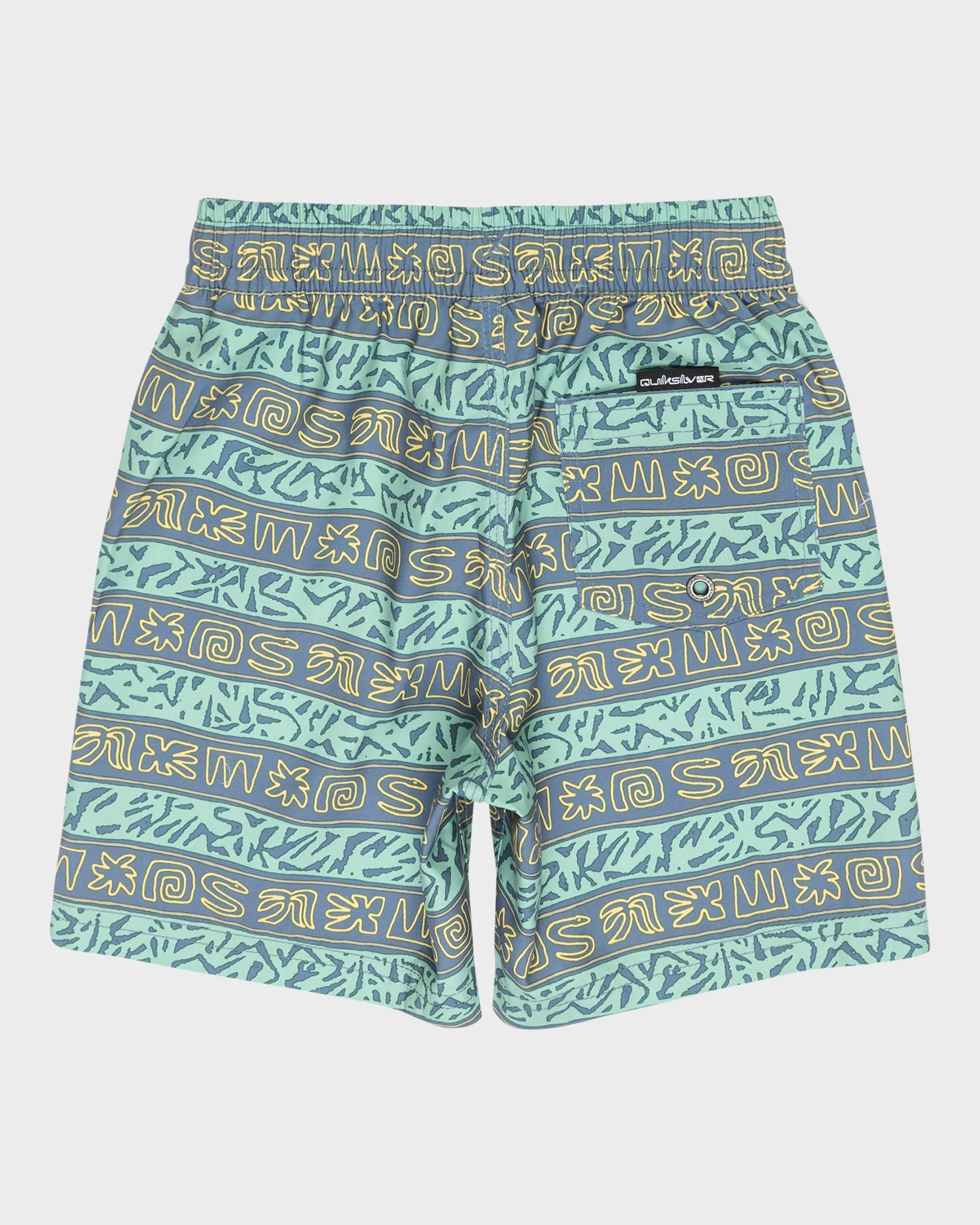 Boys 2-7 Everyday Volley 13 Swim Shorts