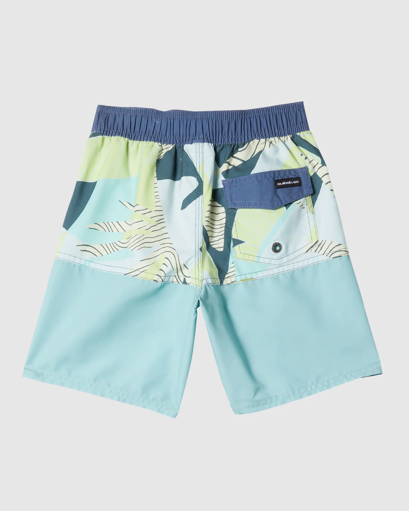 Boys 2-7 Everyday Division 13 Boardshorts