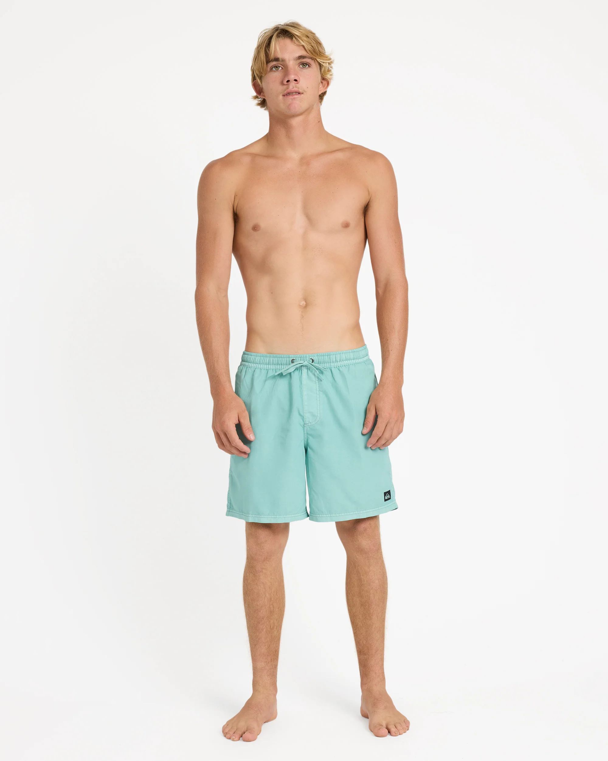 Mens Everyday Surfwash 17 Swim Shorts