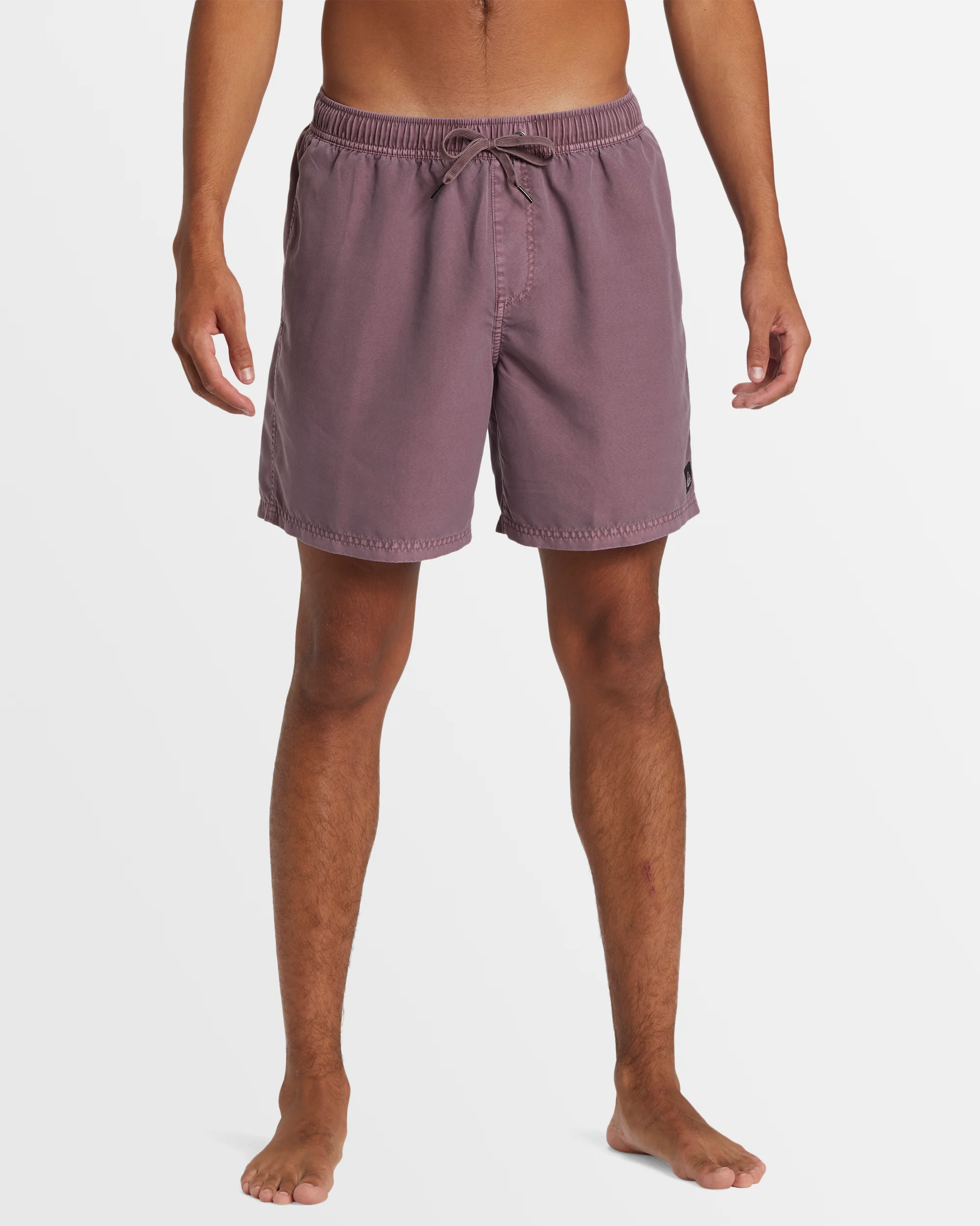 Mens Everyday Surfwash Volley 17 Boardshorts