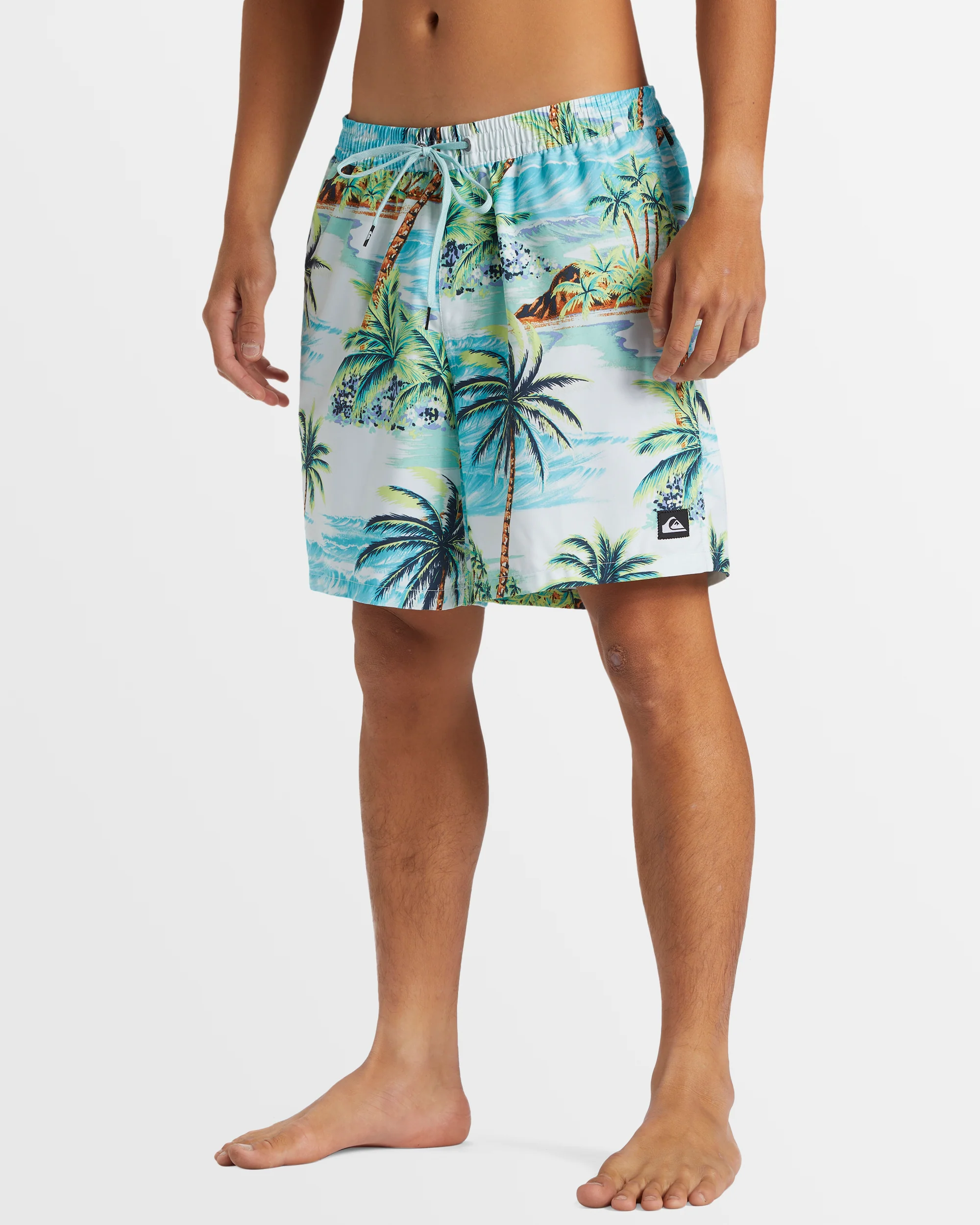 Mens Everyday Mix 17 Boardshorts