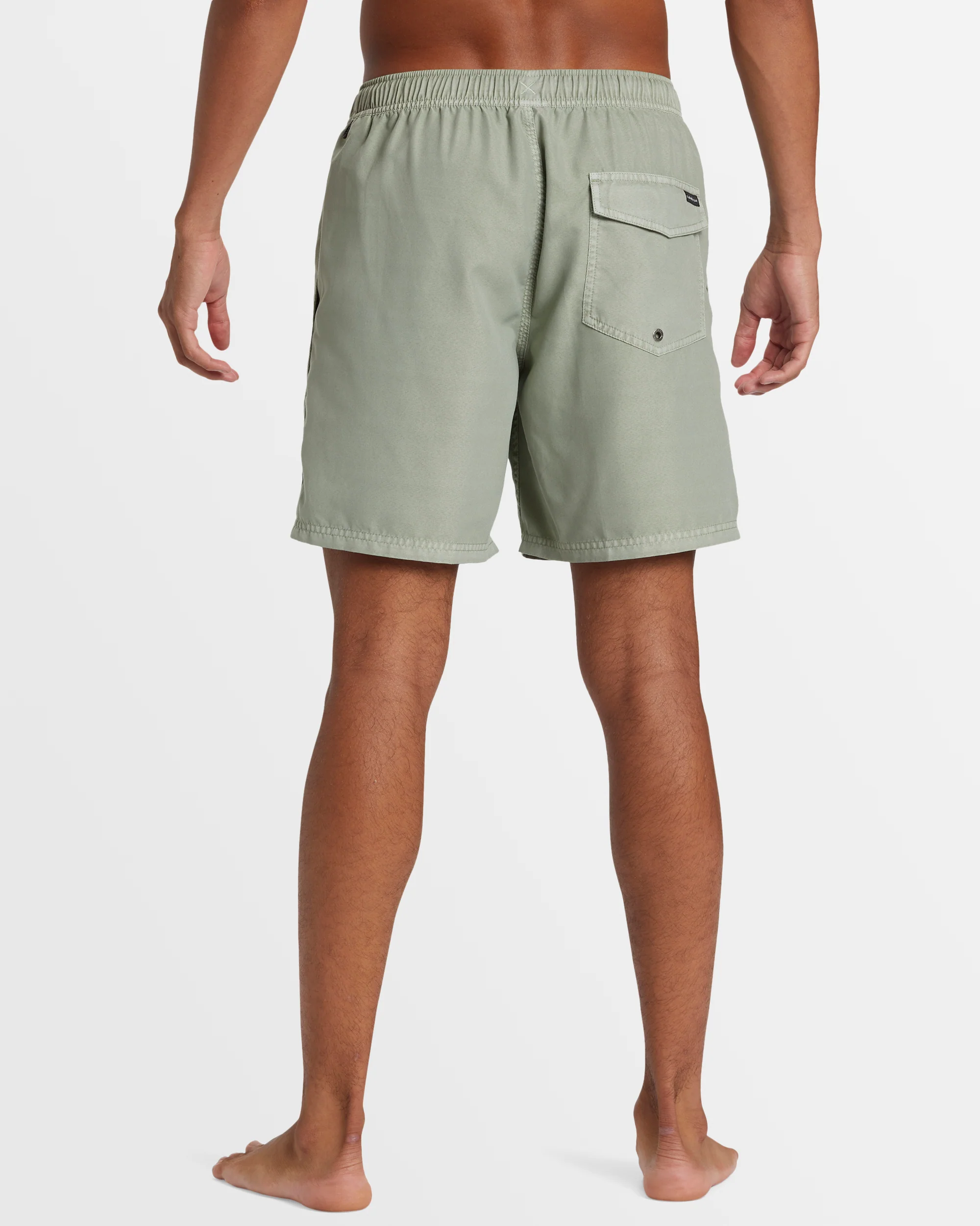 Mens Everyday Surfwash Volley 17 Boardshorts