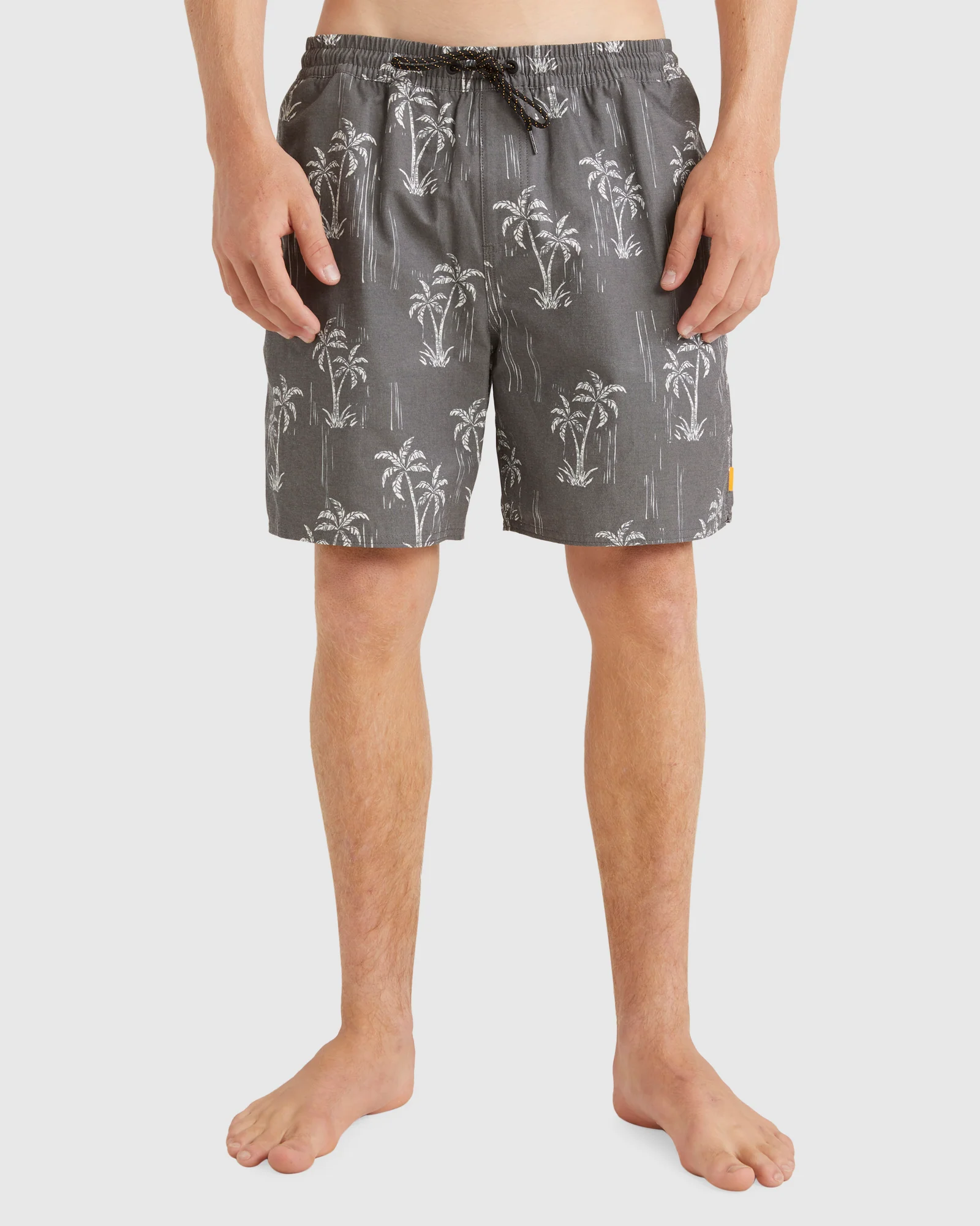 Mens Cliffside 17 Swim Shorts