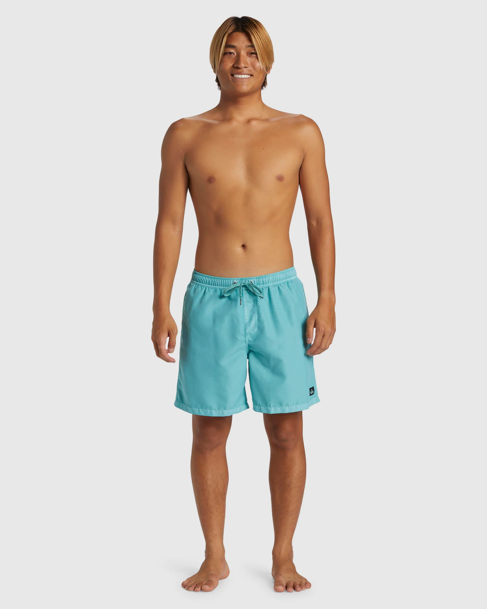 Mens Everyday Surfwash Volley 17 Swim Shorts
