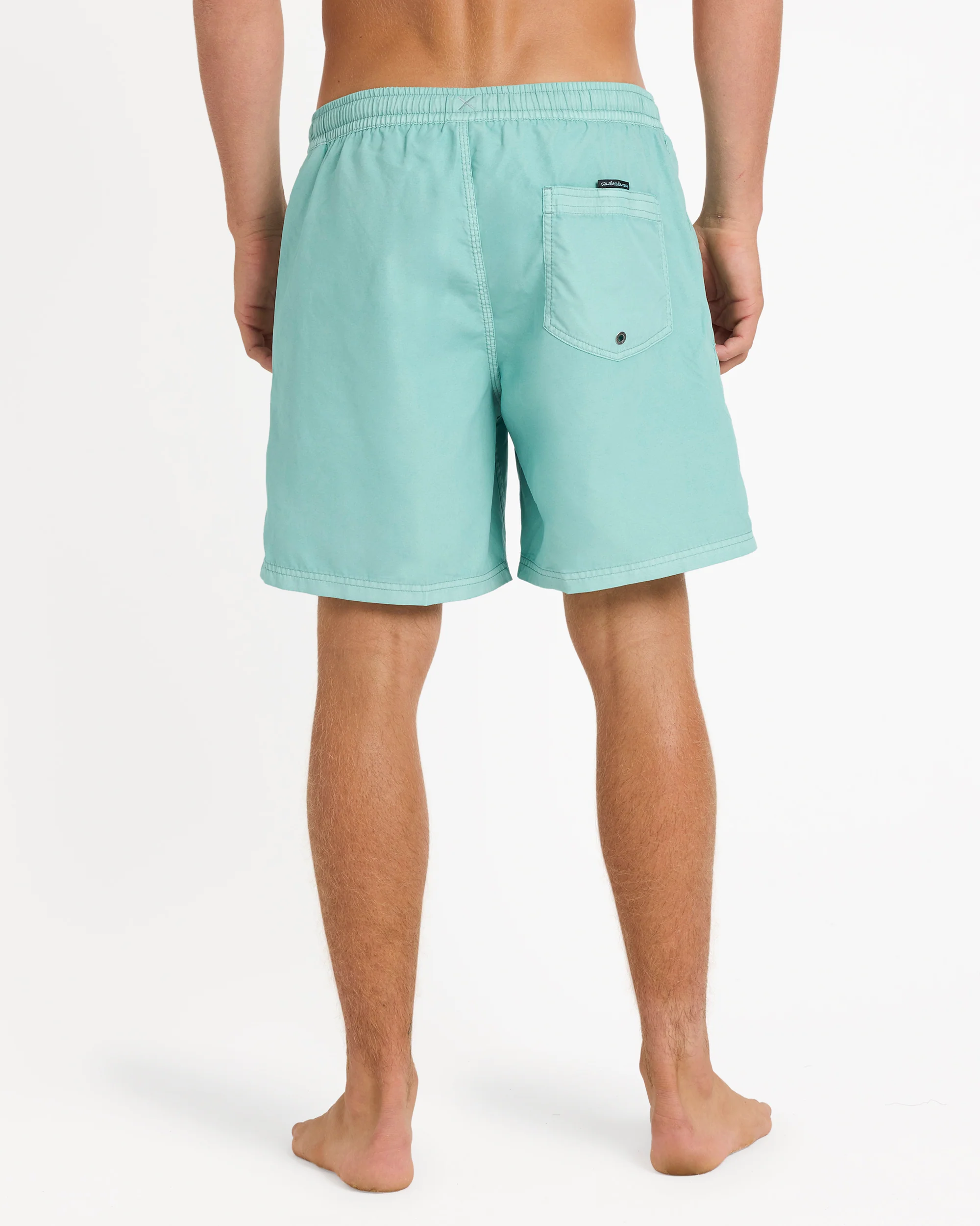 Mens Everyday Surfwash 17 Swim Shorts