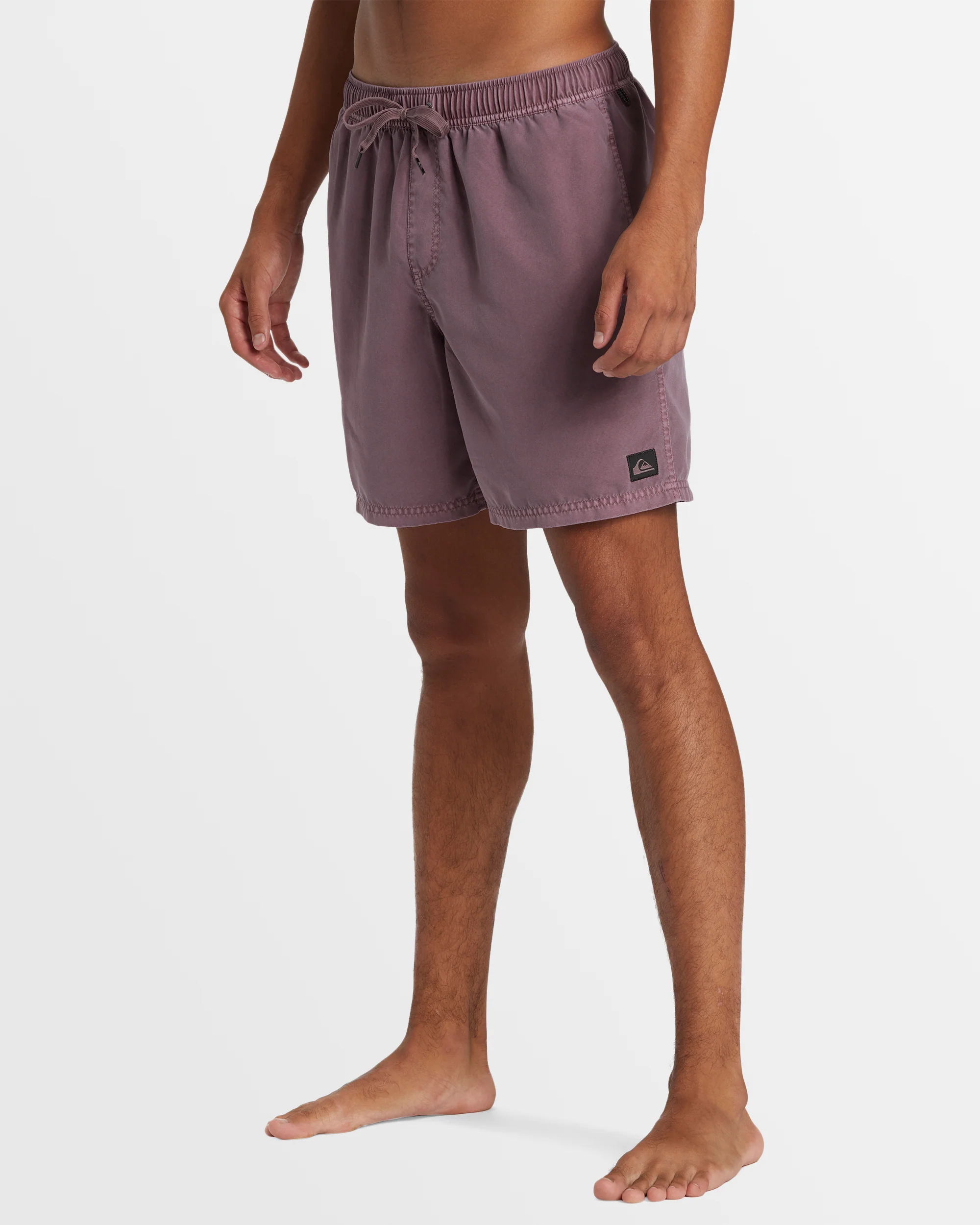 Mens Everyday Surfwash Volley 17 Boardshorts