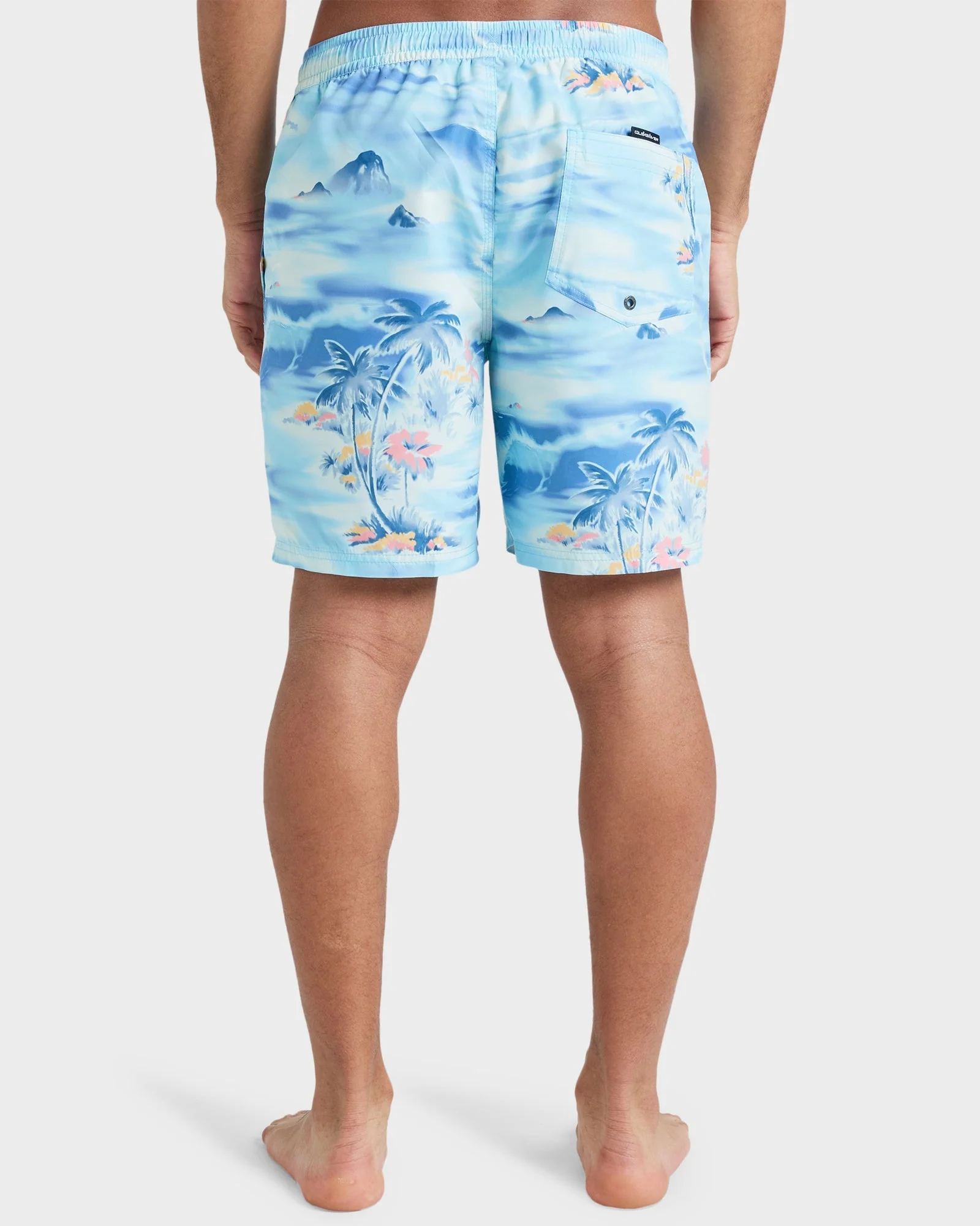 Mens Everyday 17 Swim Shorts
