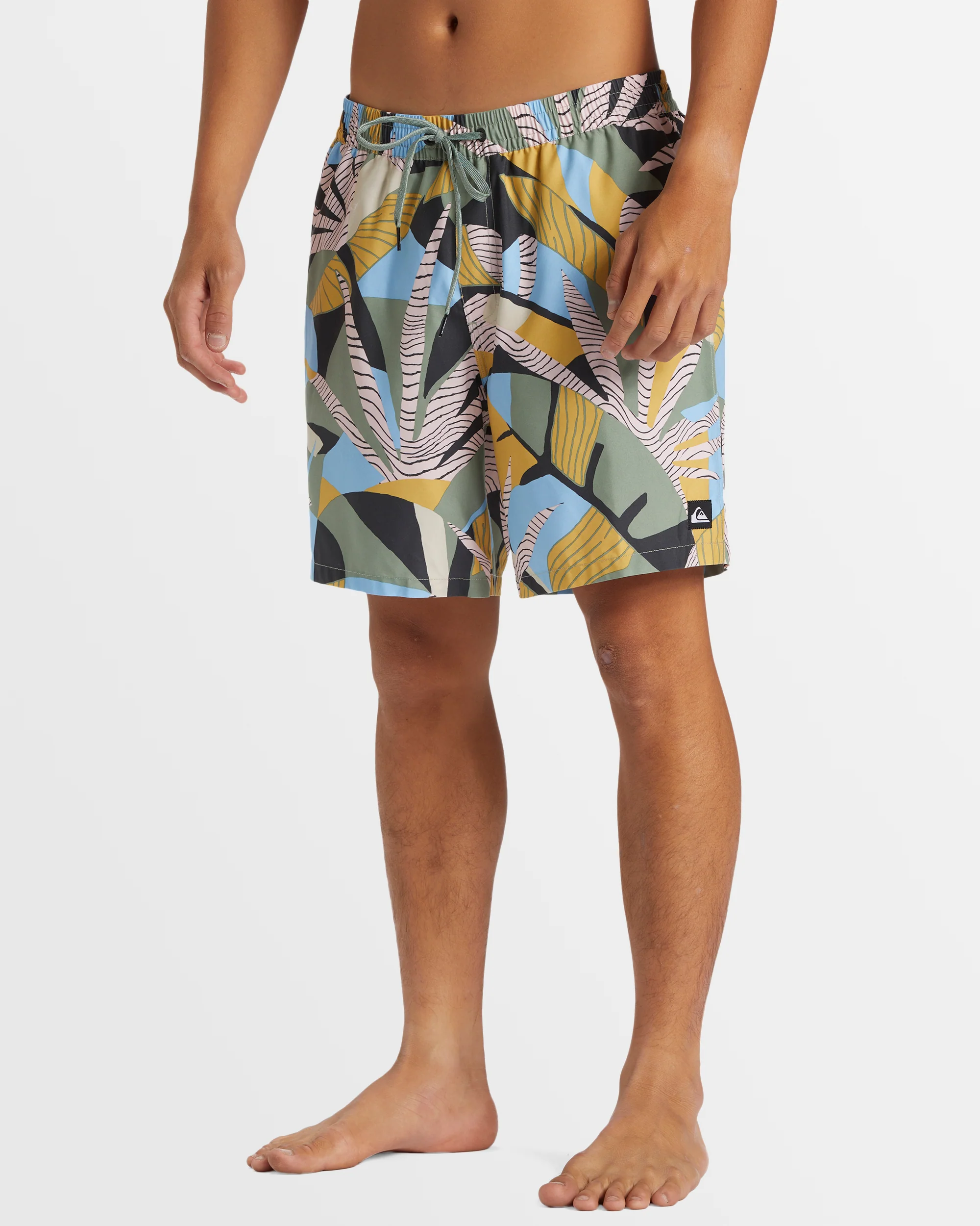 Mens Everyday Mix 17 Boardshorts