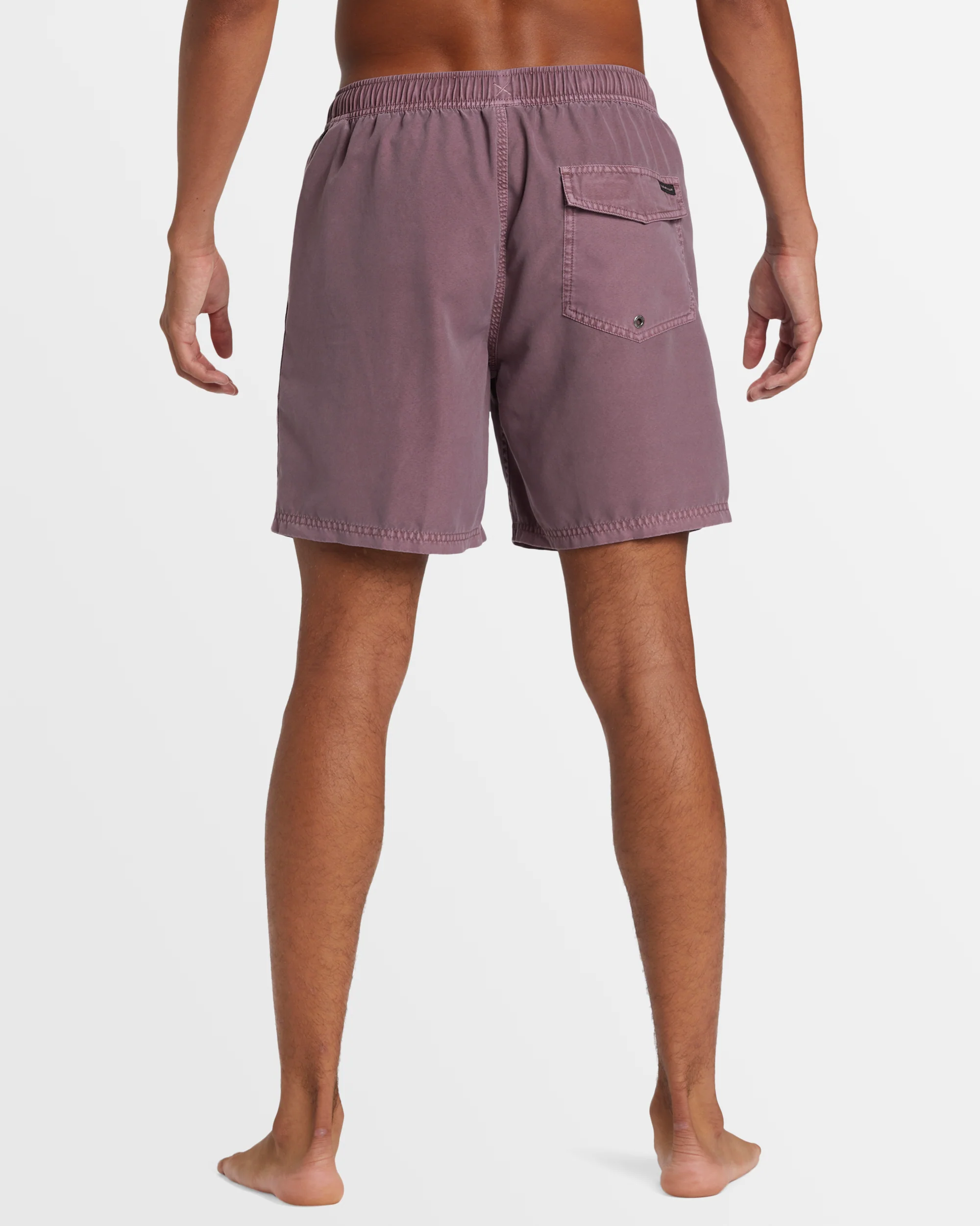 Mens Everyday Surfwash Volley 17 Boardshorts