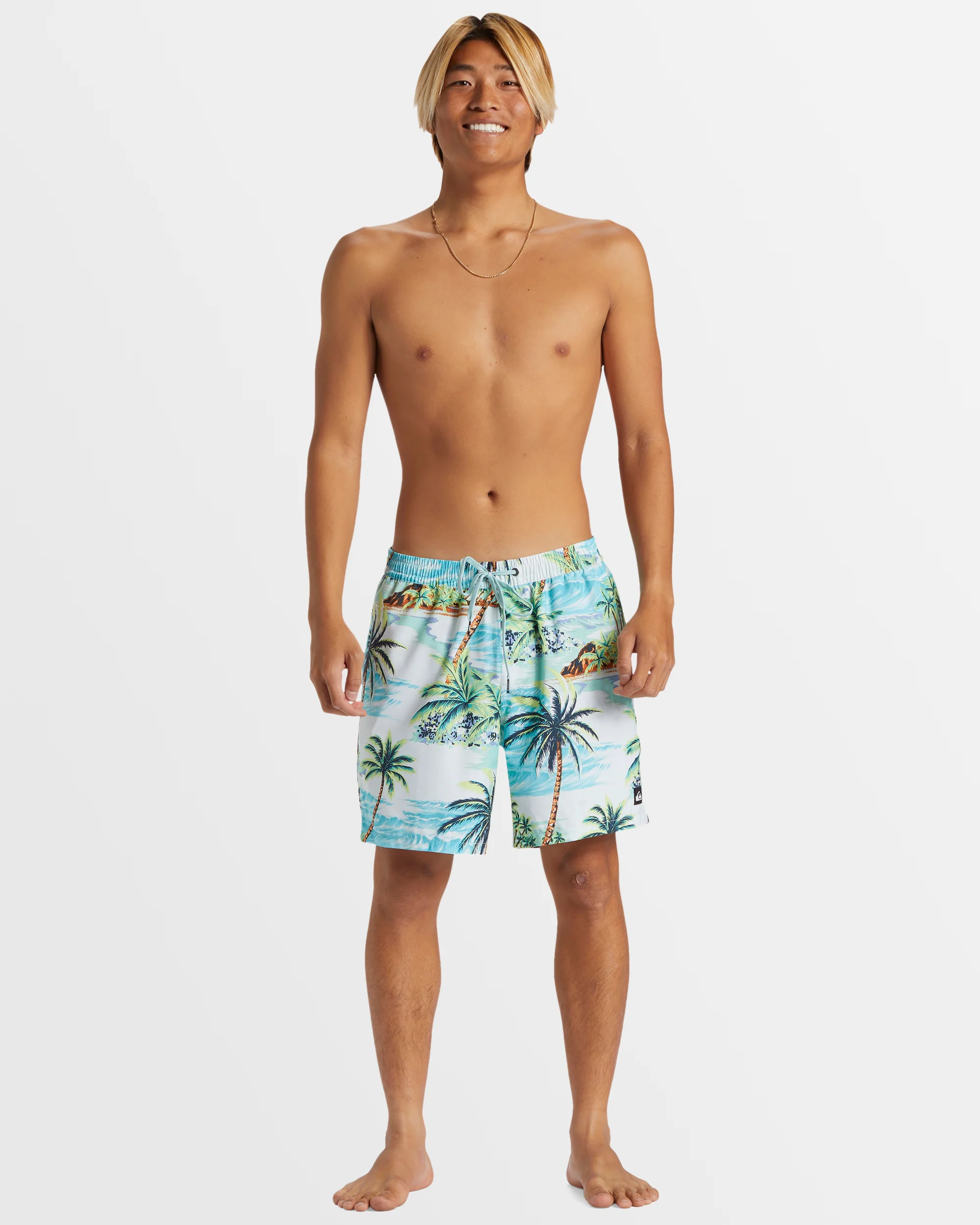Mens Everyday Mix 17 Boardshorts