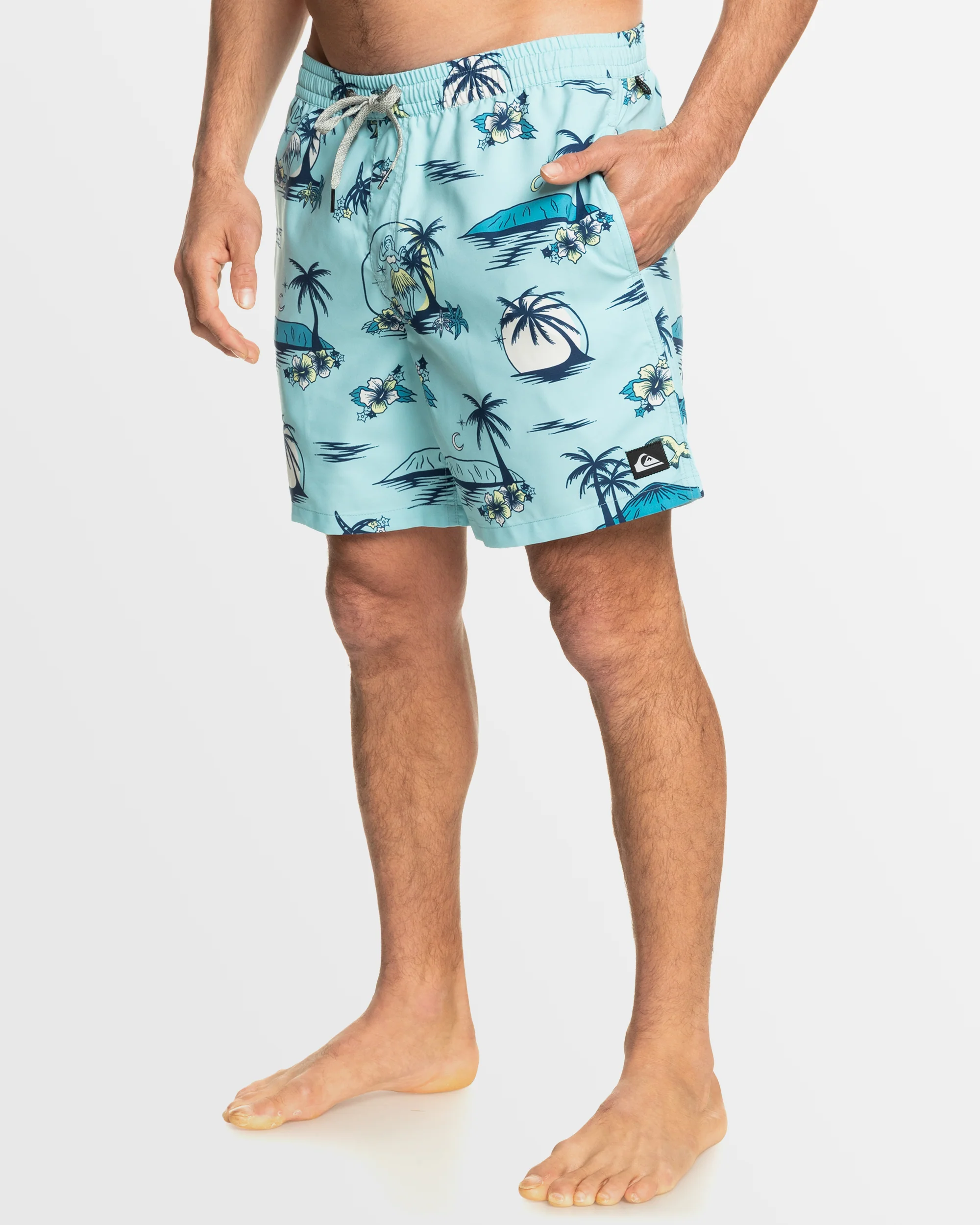 Mens Everyday Mix 17 Swim Shorts