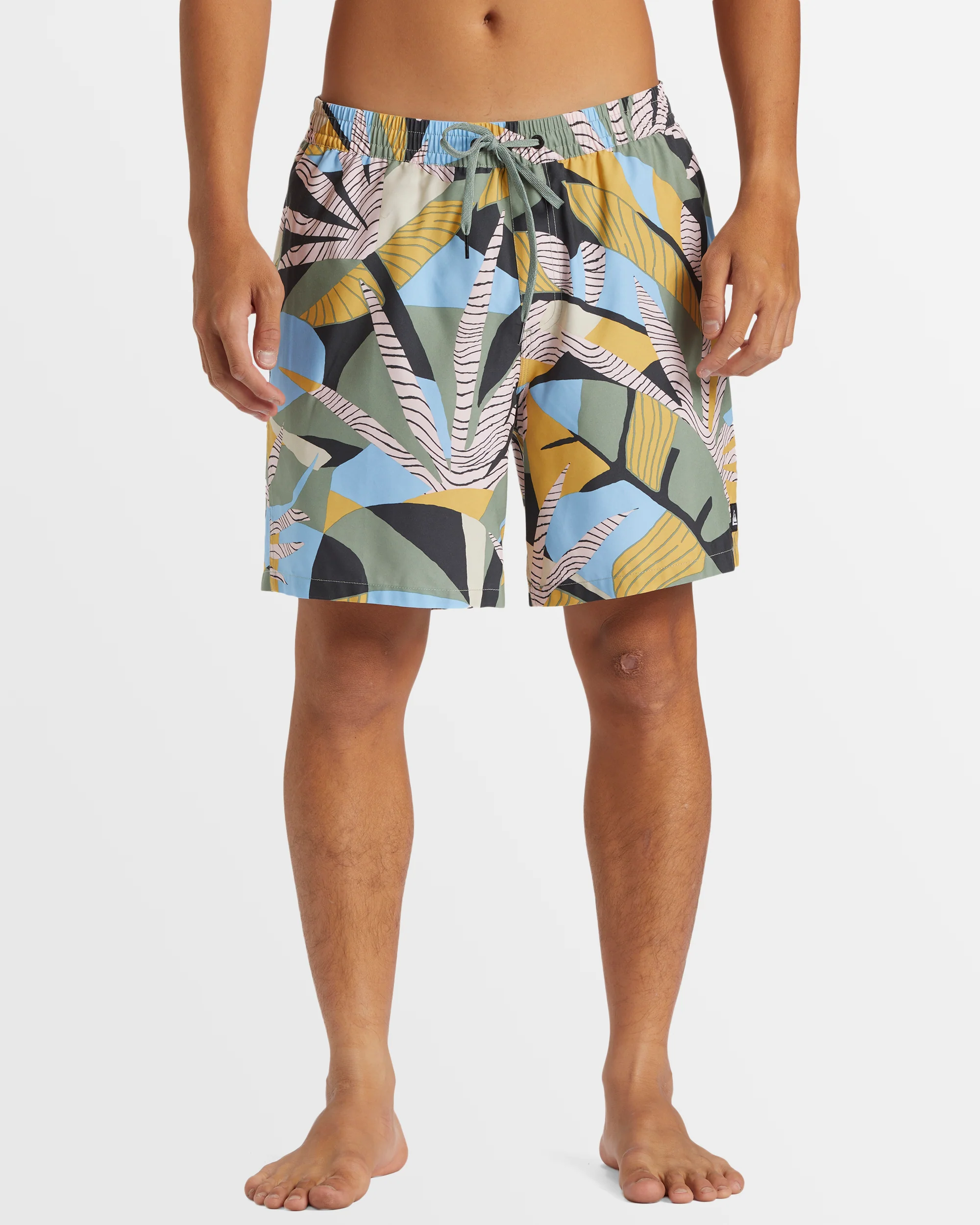 Mens Everyday Mix 17 Boardshorts