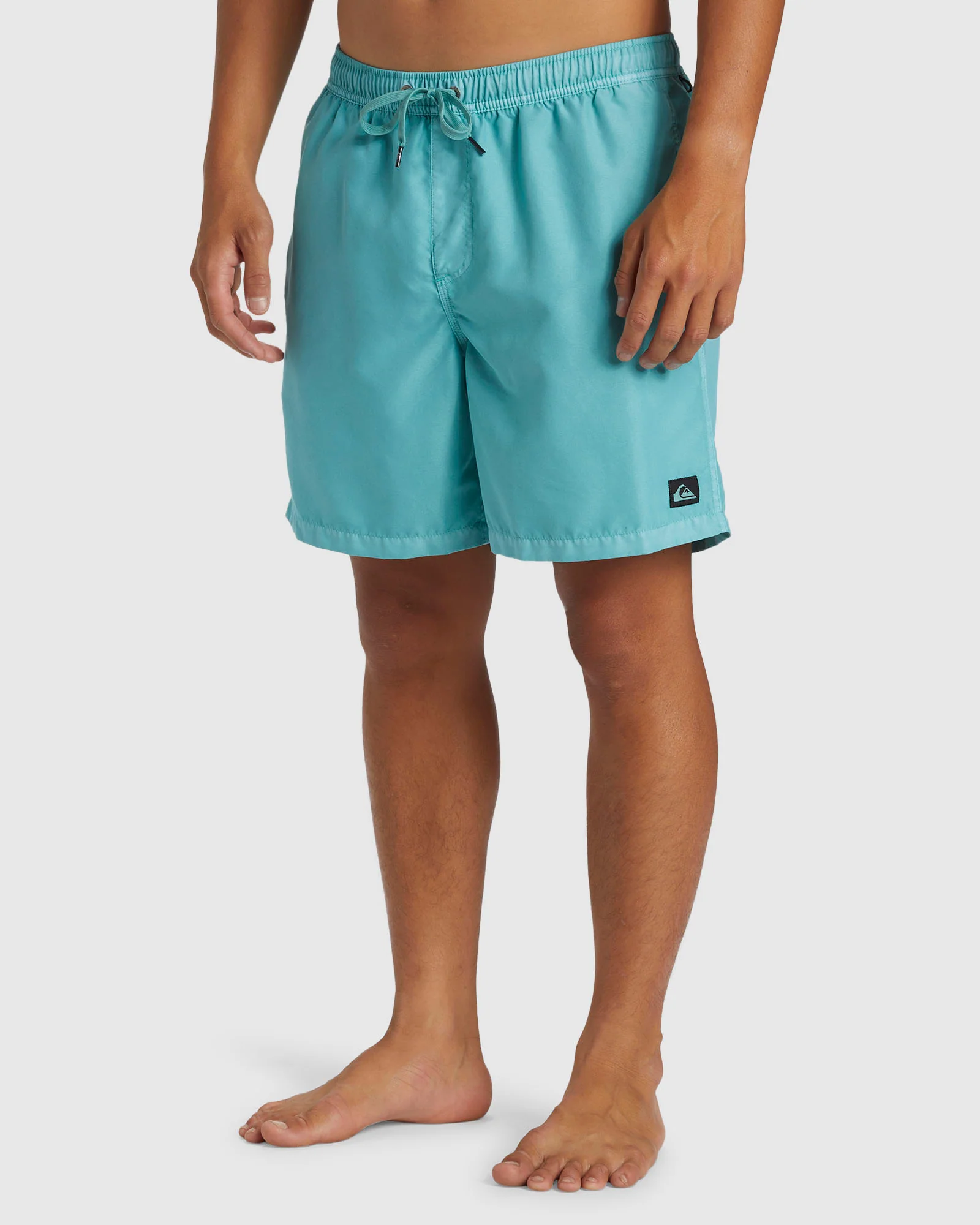 Mens Everyday Surfwash Volley 17 Swim Shorts