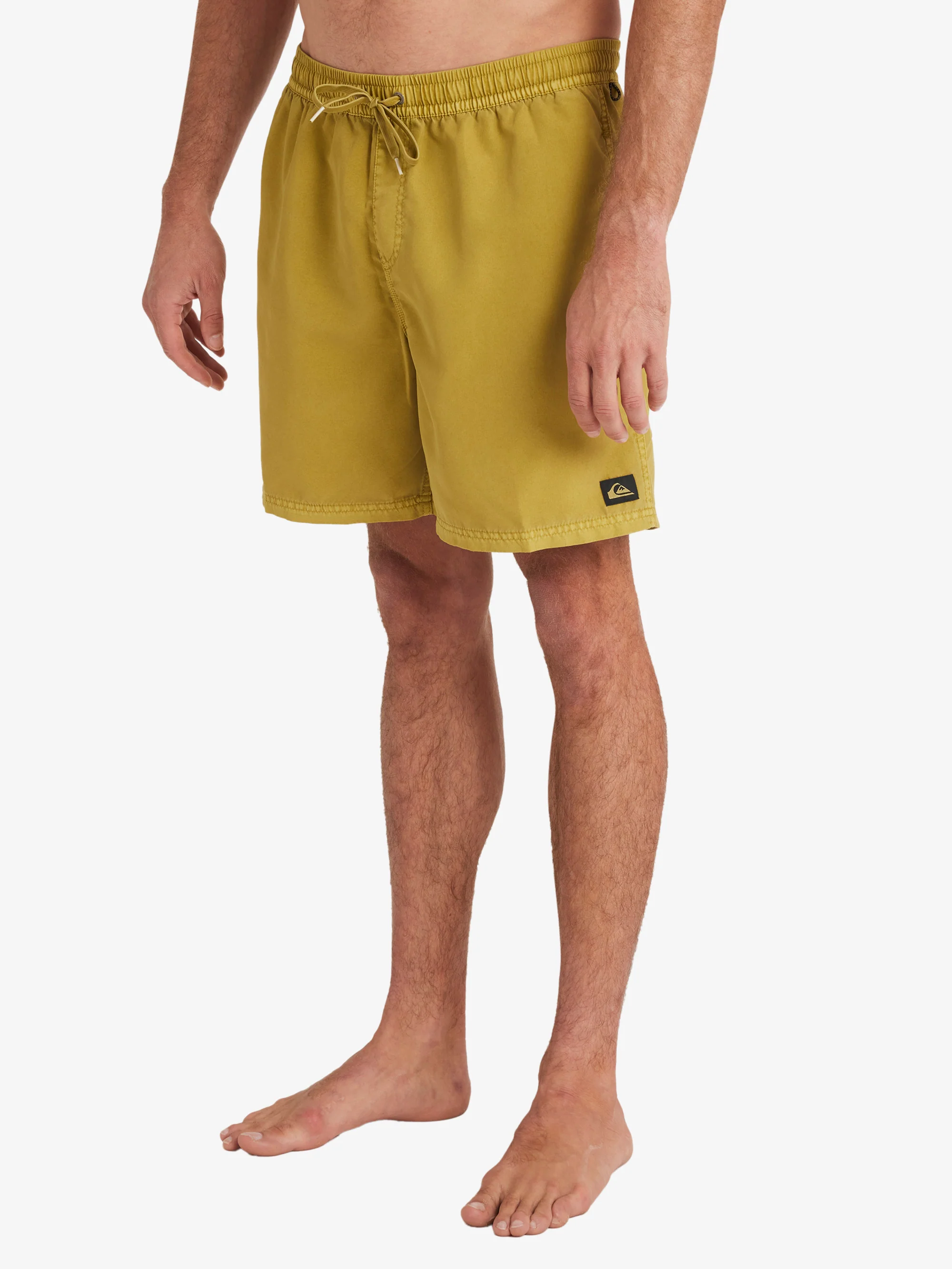 Mens Everyday Surfwash Volley 17 Swim Shorts