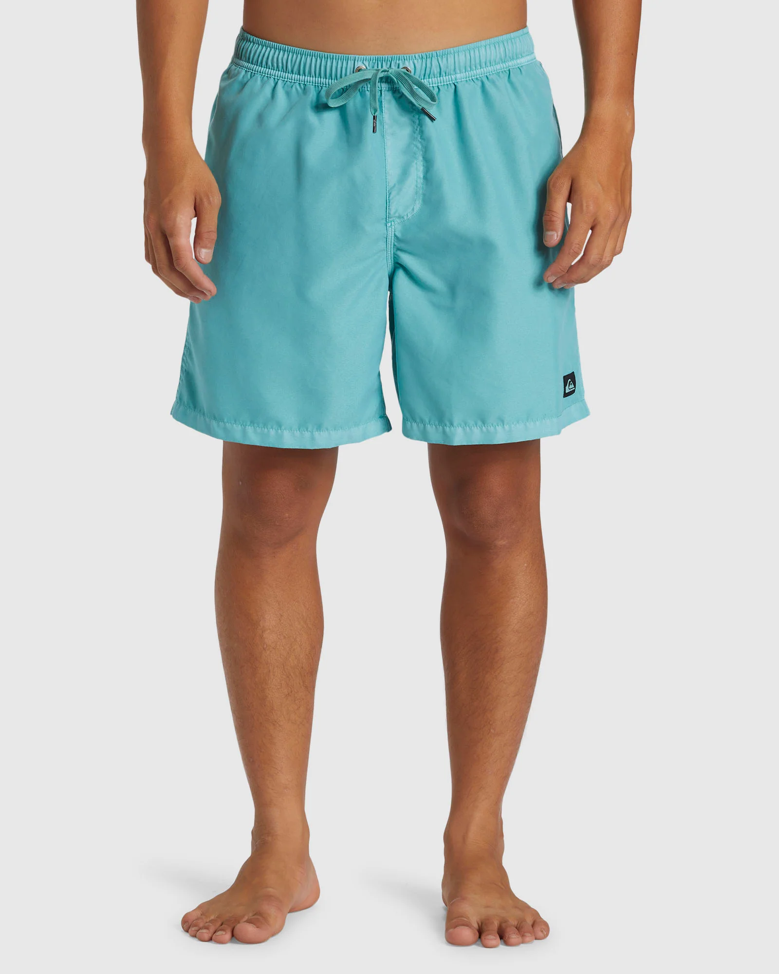 Mens Everyday Surfwash Volley 17 Swim Shorts
