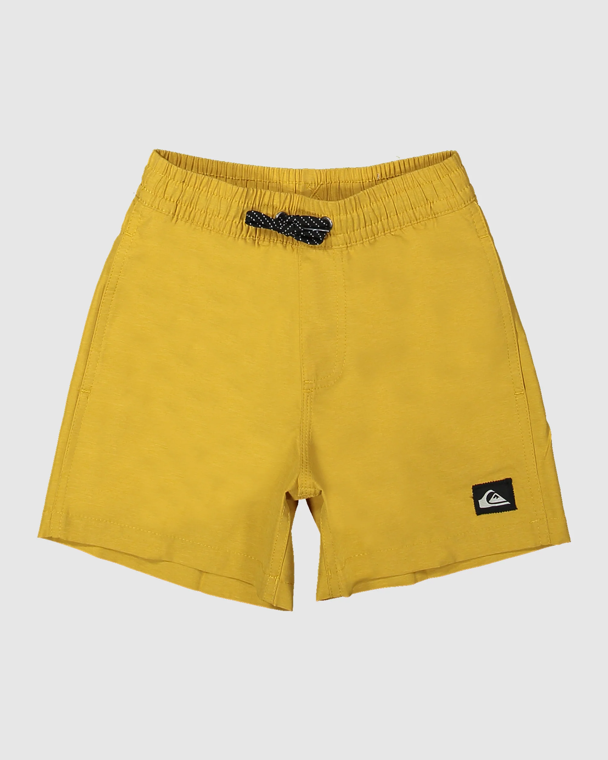 Boys 2-7 Everyday Deluxe 12 Swim Shorts for Boys