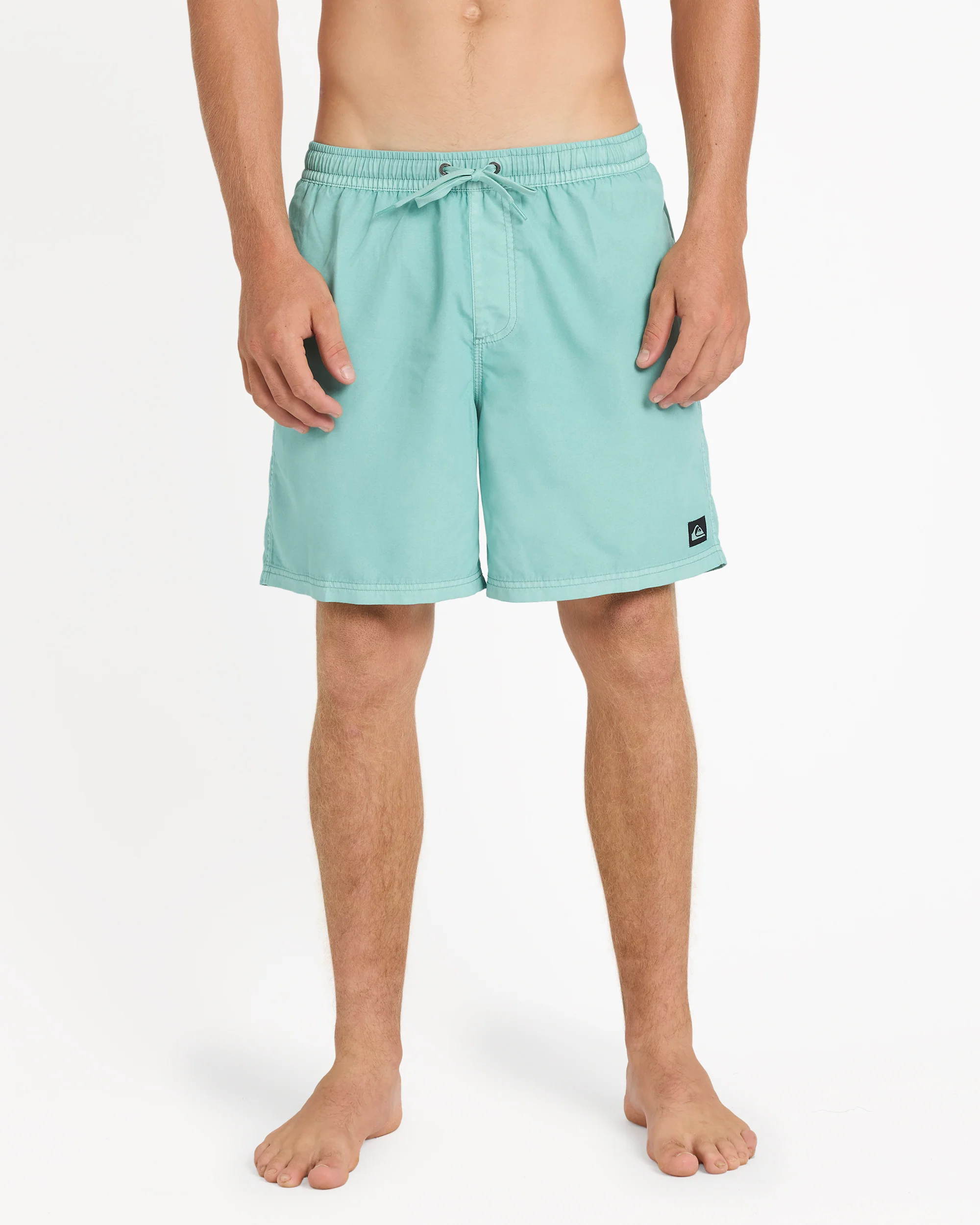 Mens Everyday Surfwash 17 Swim Shorts