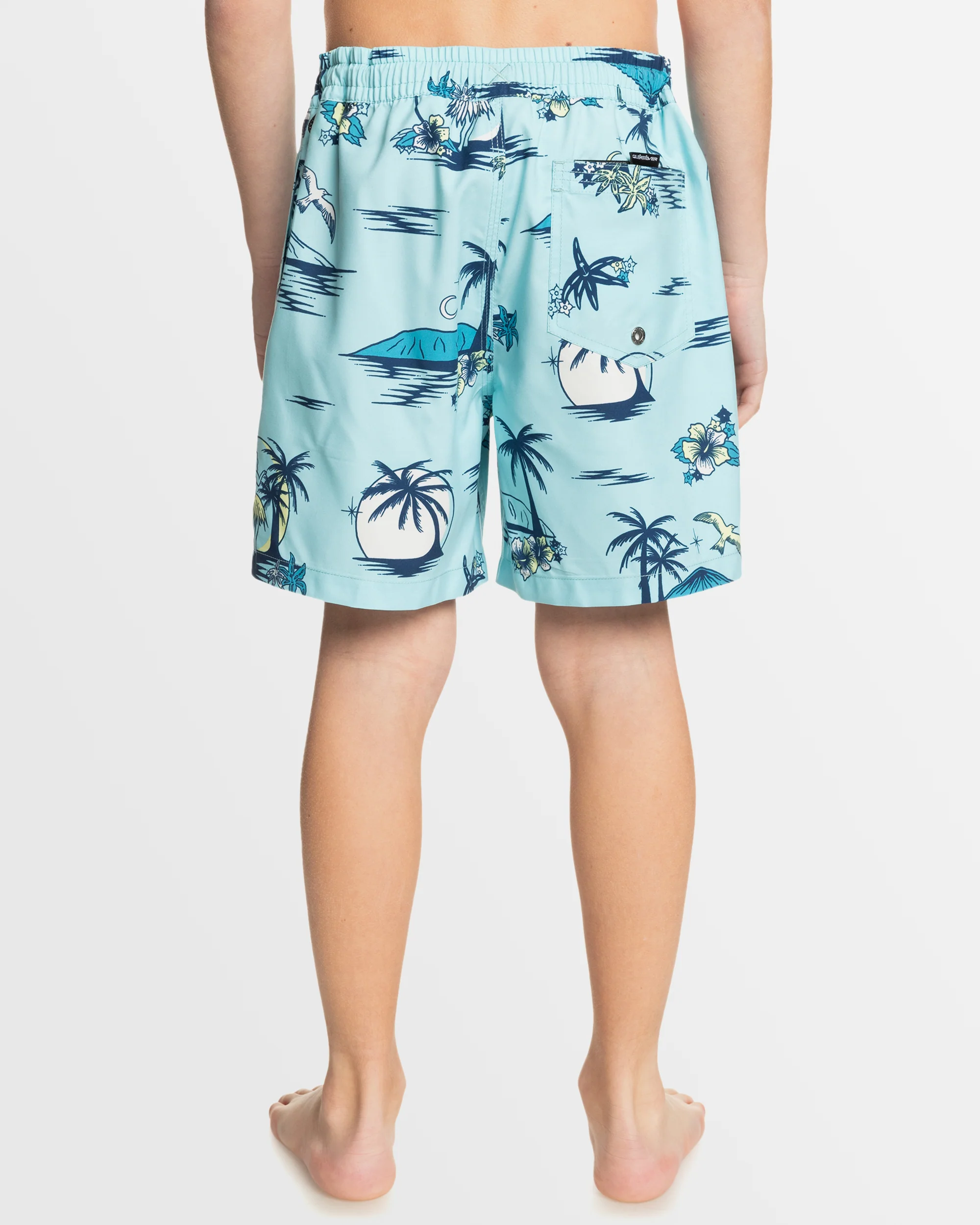 Boys 8-16 Everyday Mix 14 Swim Shorts