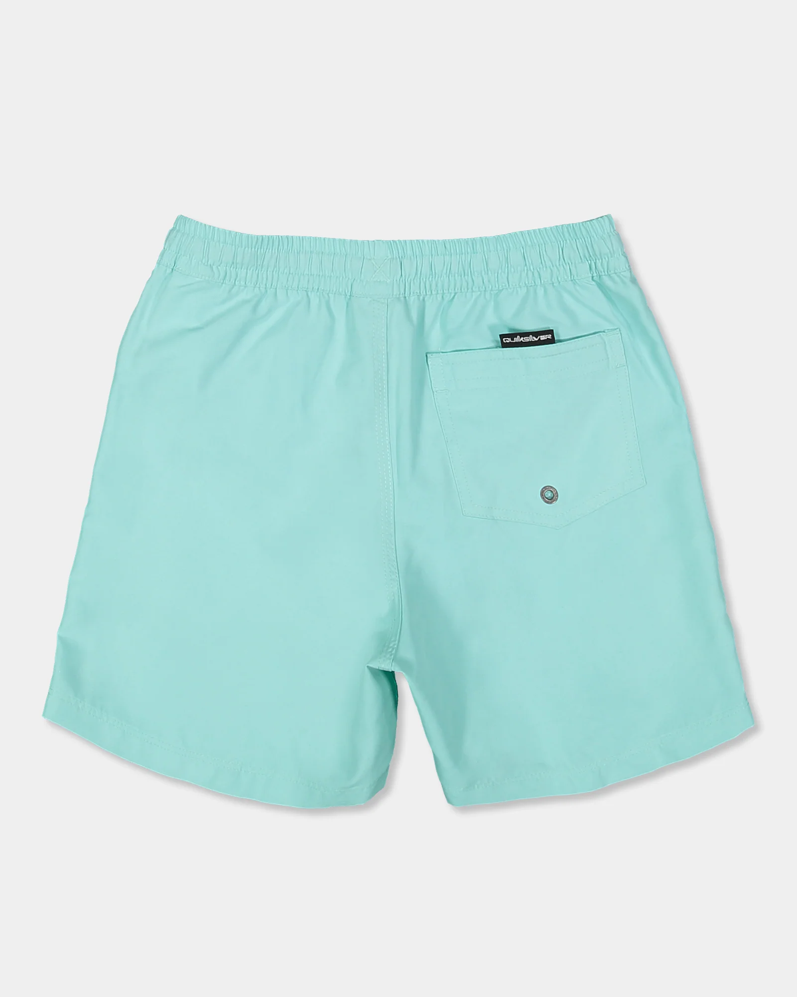 Boys 8-16 Everyday Volley 14 Swim Shorts