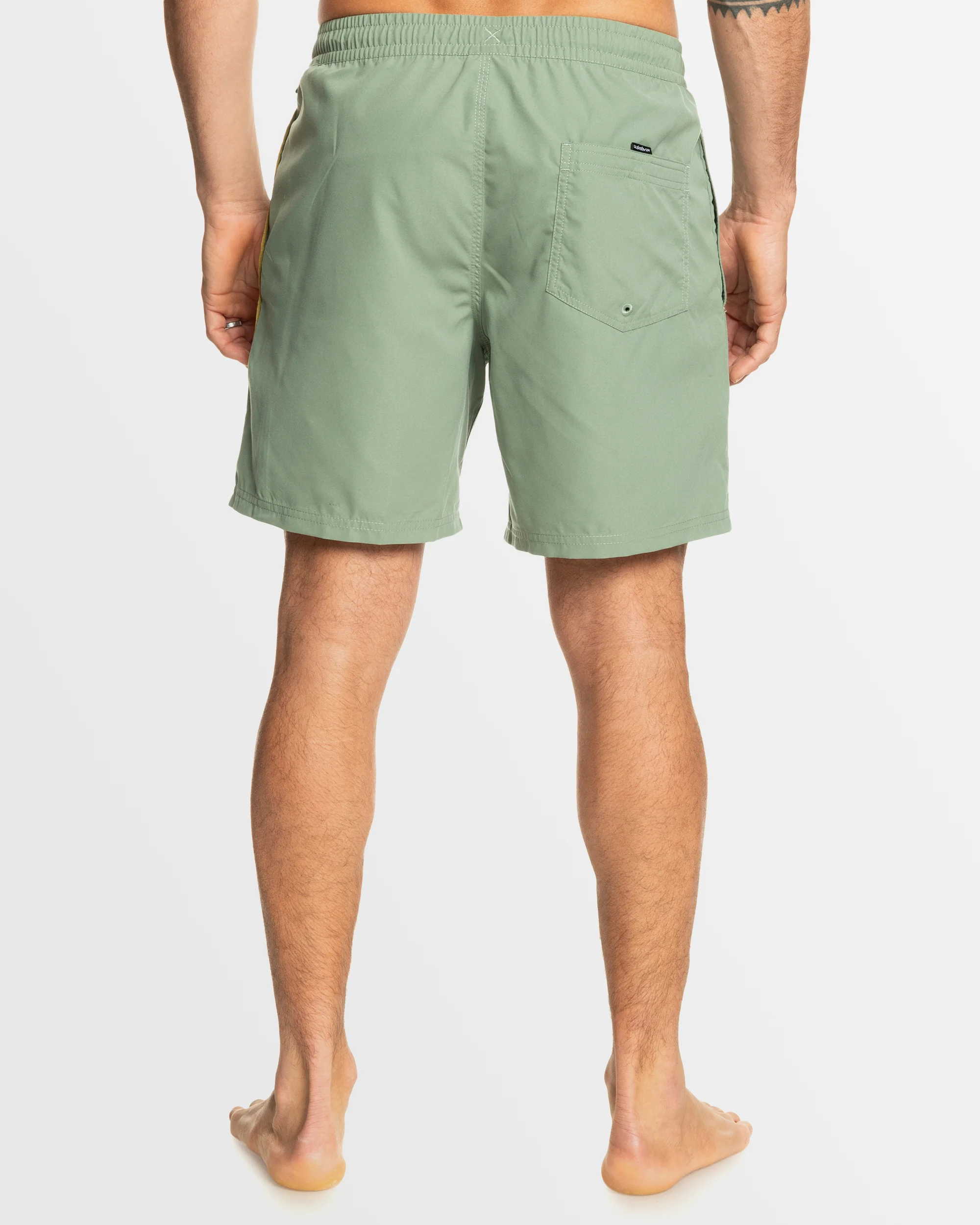 Mens Everyday Vert Volley 17 Swim Shorts