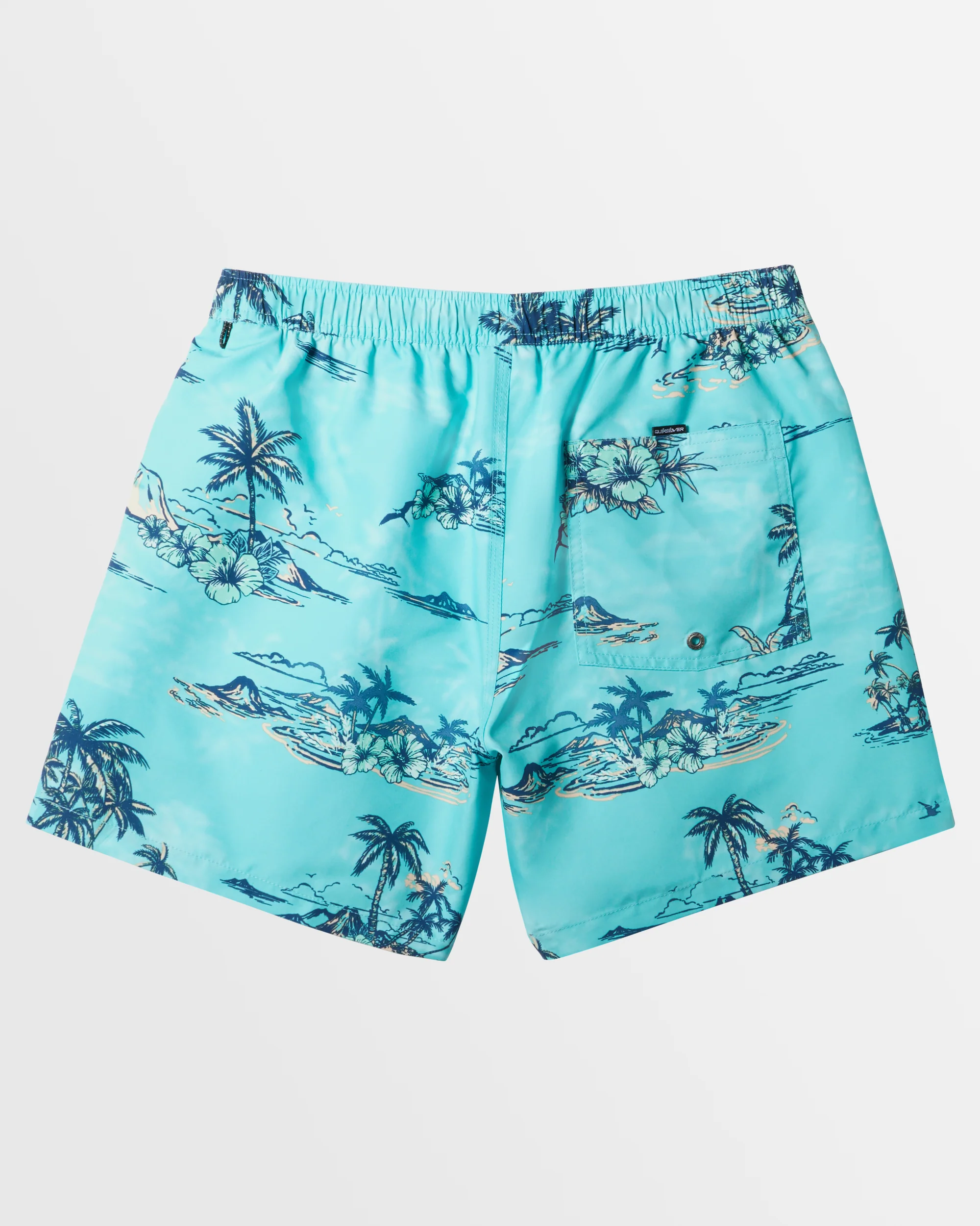 Mens Everyday Mix Volley 17 Swim Shorts