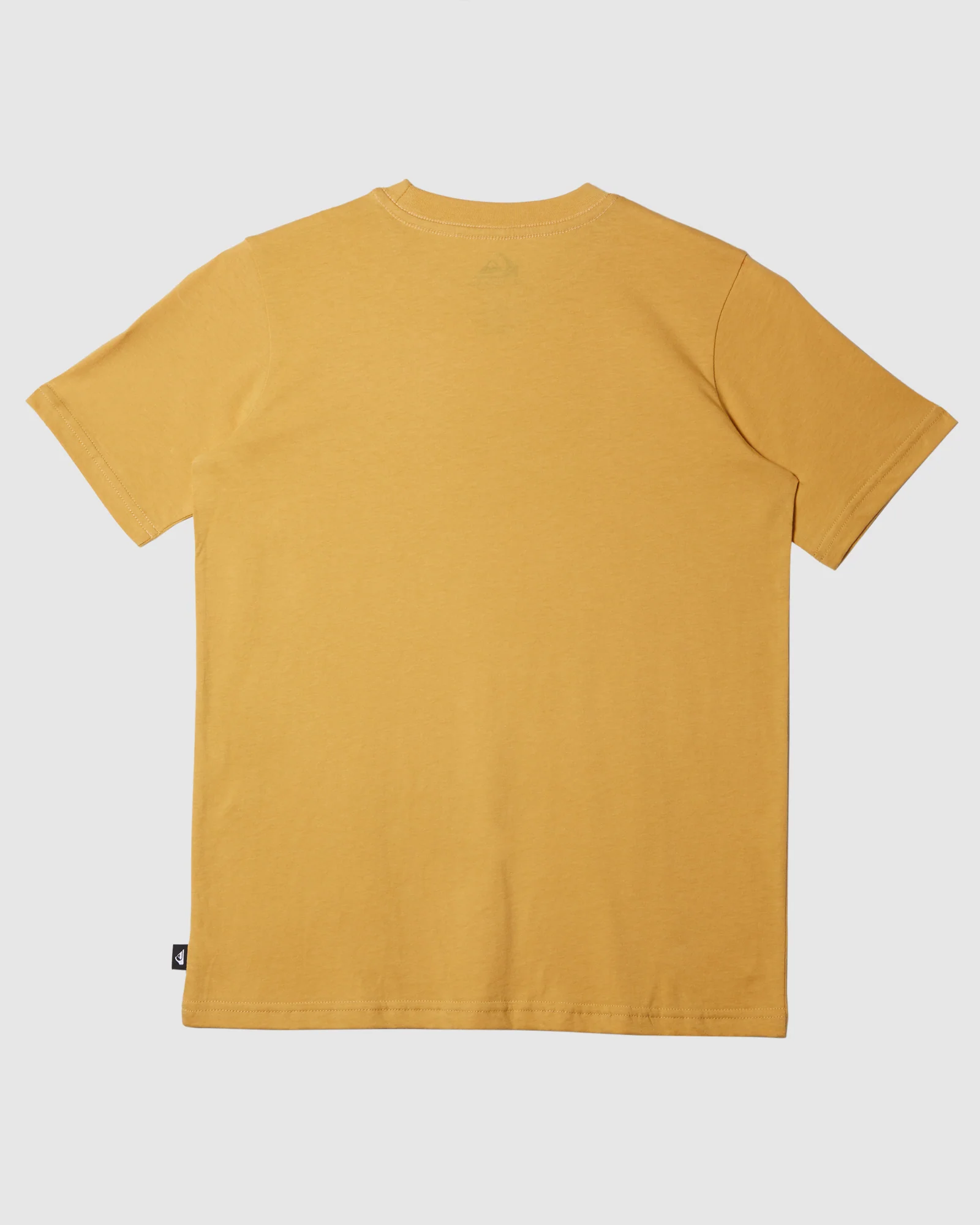 Boys 8-16 Gecko T-Shirt