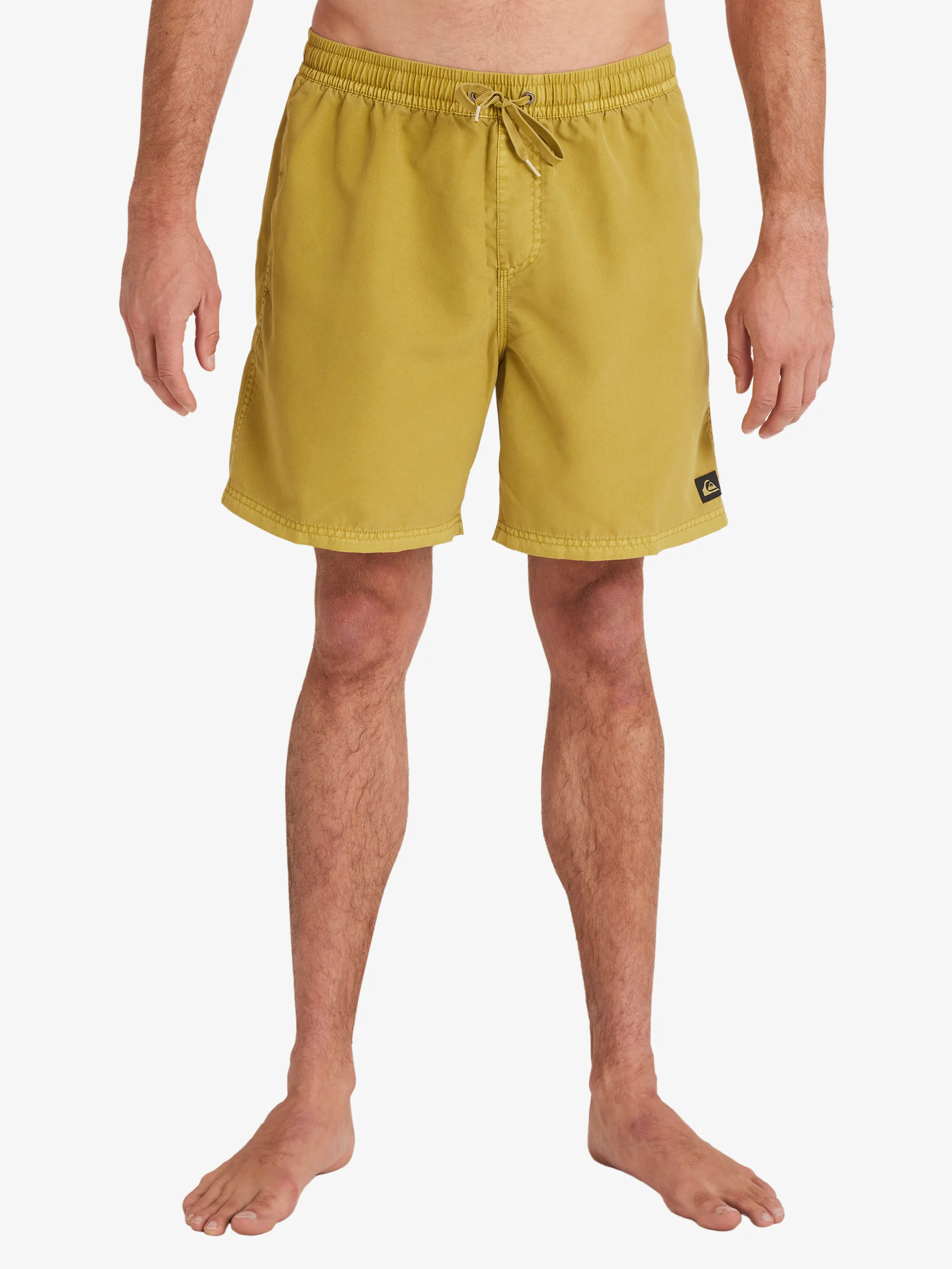 Mens Everyday Surfwash Volley 17 Swim Shorts