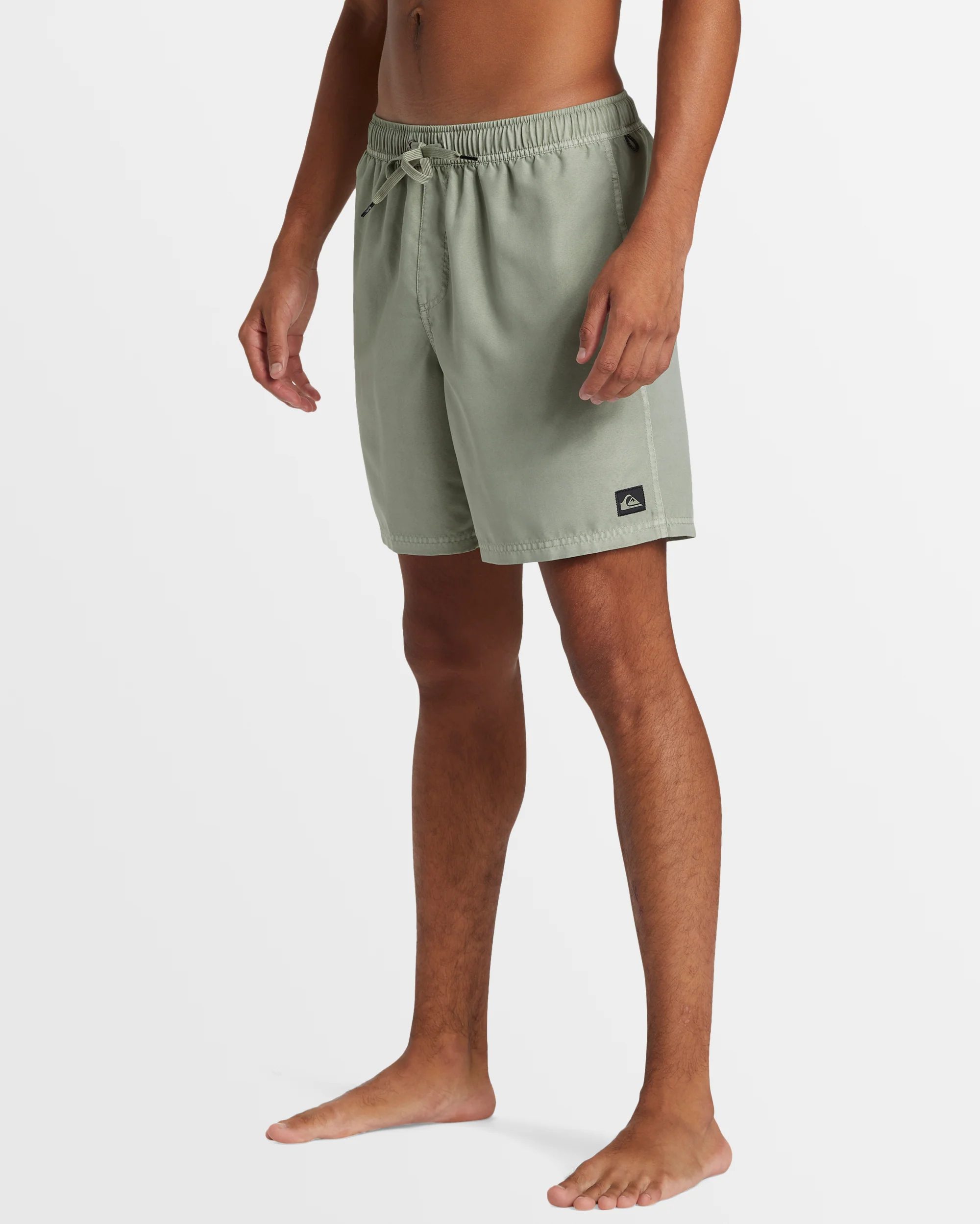 Mens Everyday Surfwash Volley 17 Boardshorts