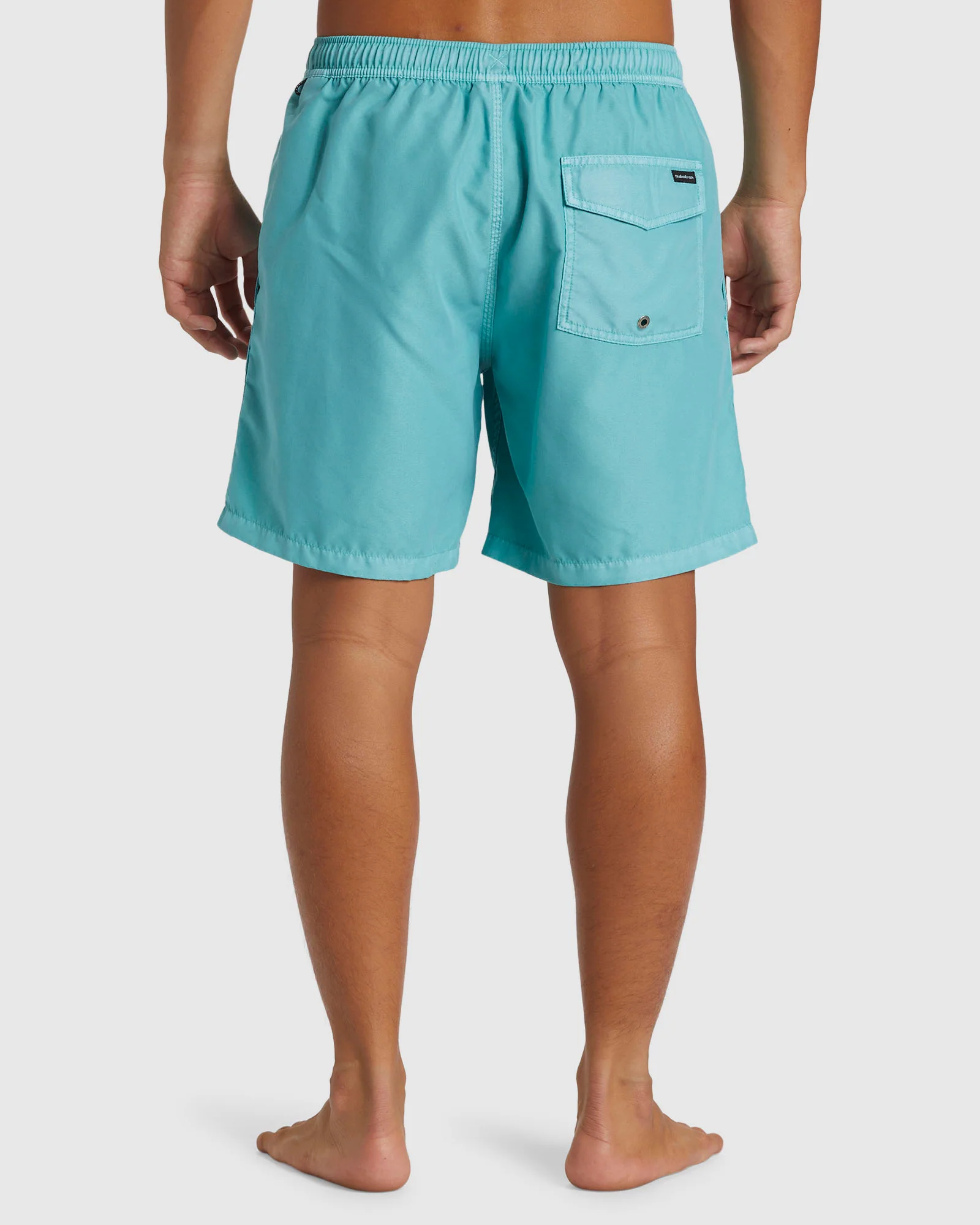 Mens Everyday Surfwash Volley 17 Swim Shorts