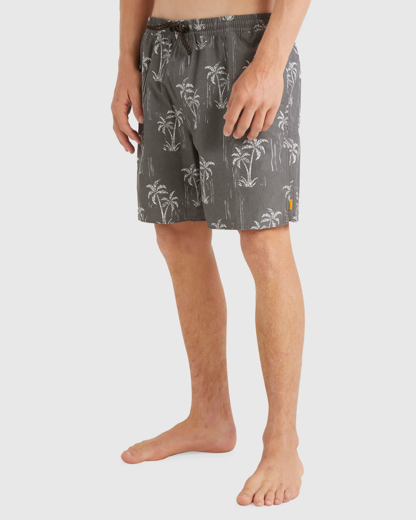 Mens Cliffside 17 Swim Shorts