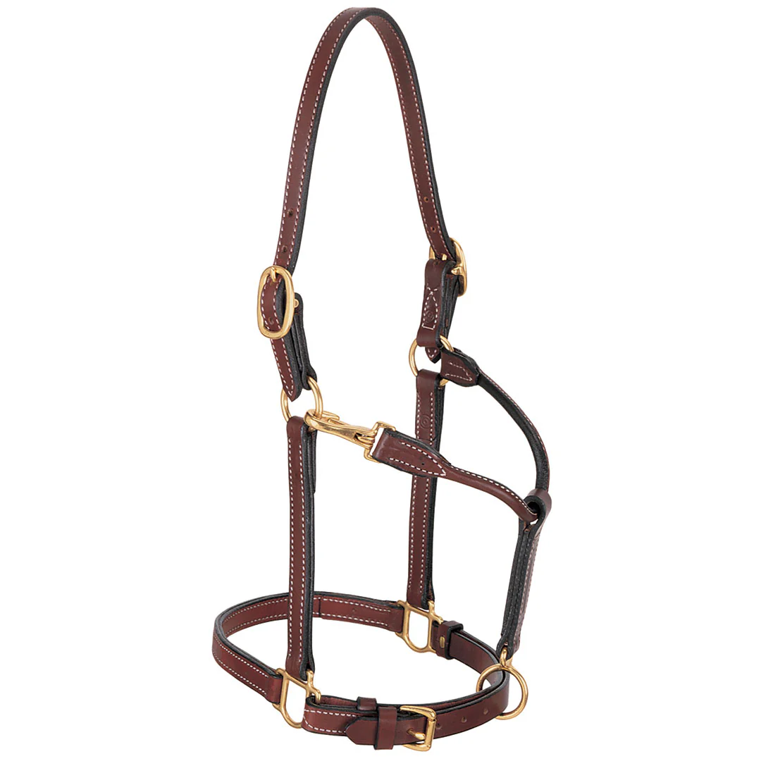 Weaver Double Buckle Crown Halter