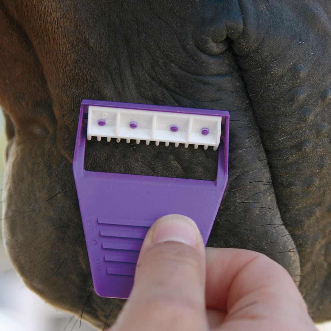 Professional's Choice Horse Shave