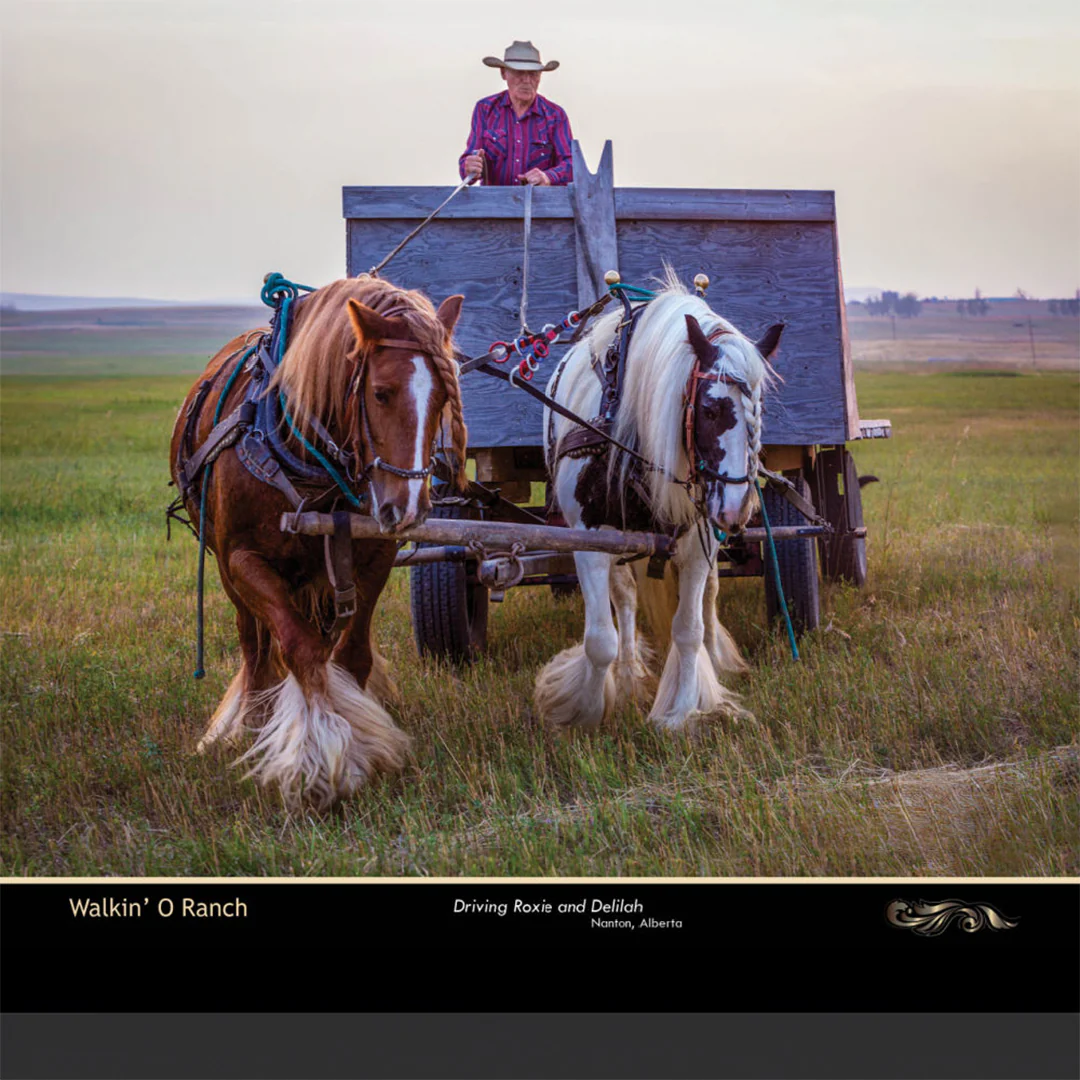 Kim Taylor On The Trail 2025 Day Planner