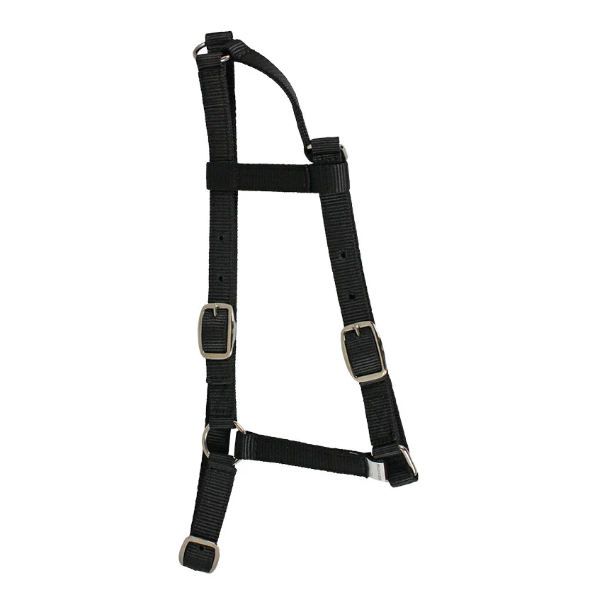 Western Rawhide Nylon Pony Halter
