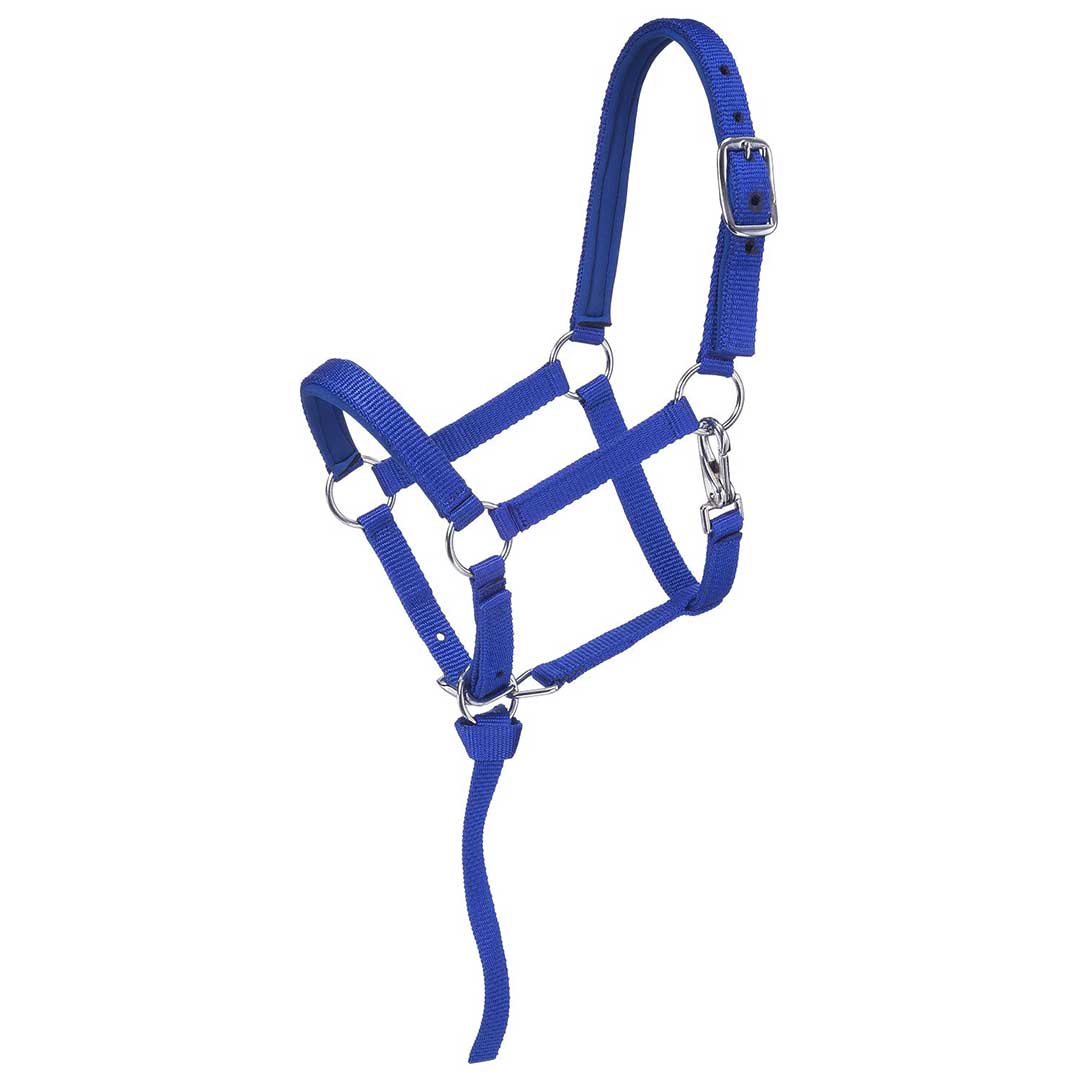 Tough 1 Nylon Padded Mini Halter