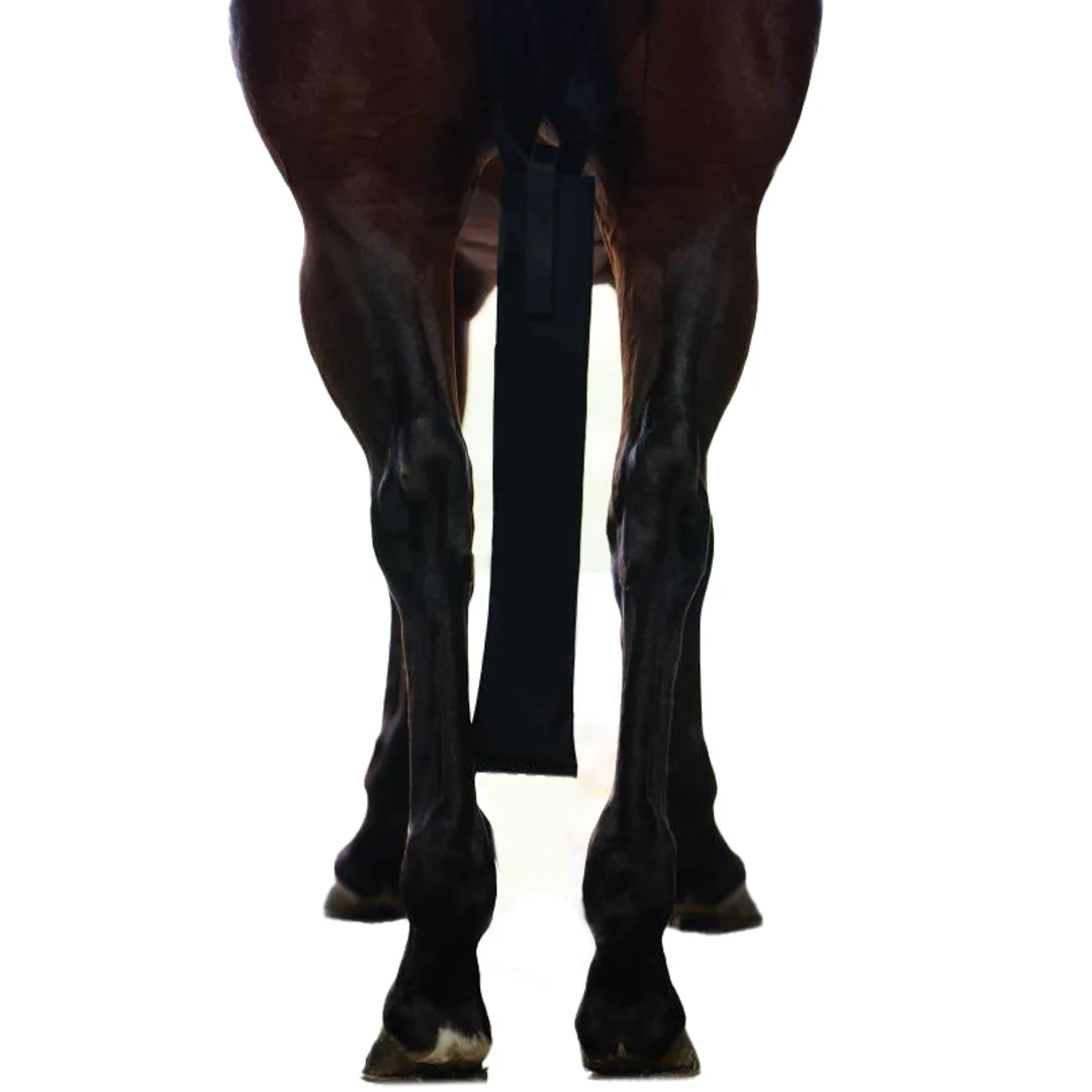 Professional's Choice Tail Bag In Black