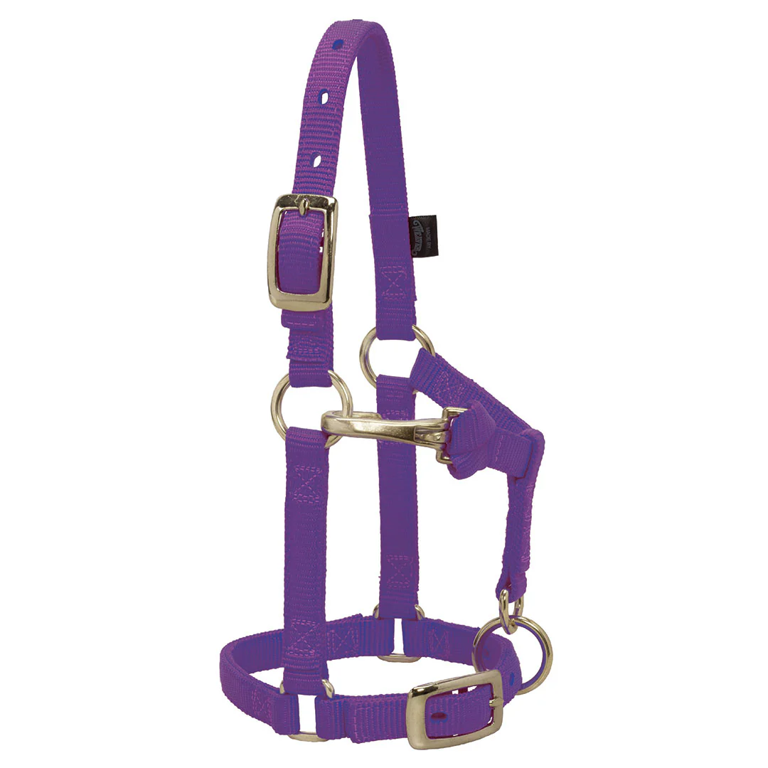 Weaver Miniature Horse Adjustable Throat Snap Halter