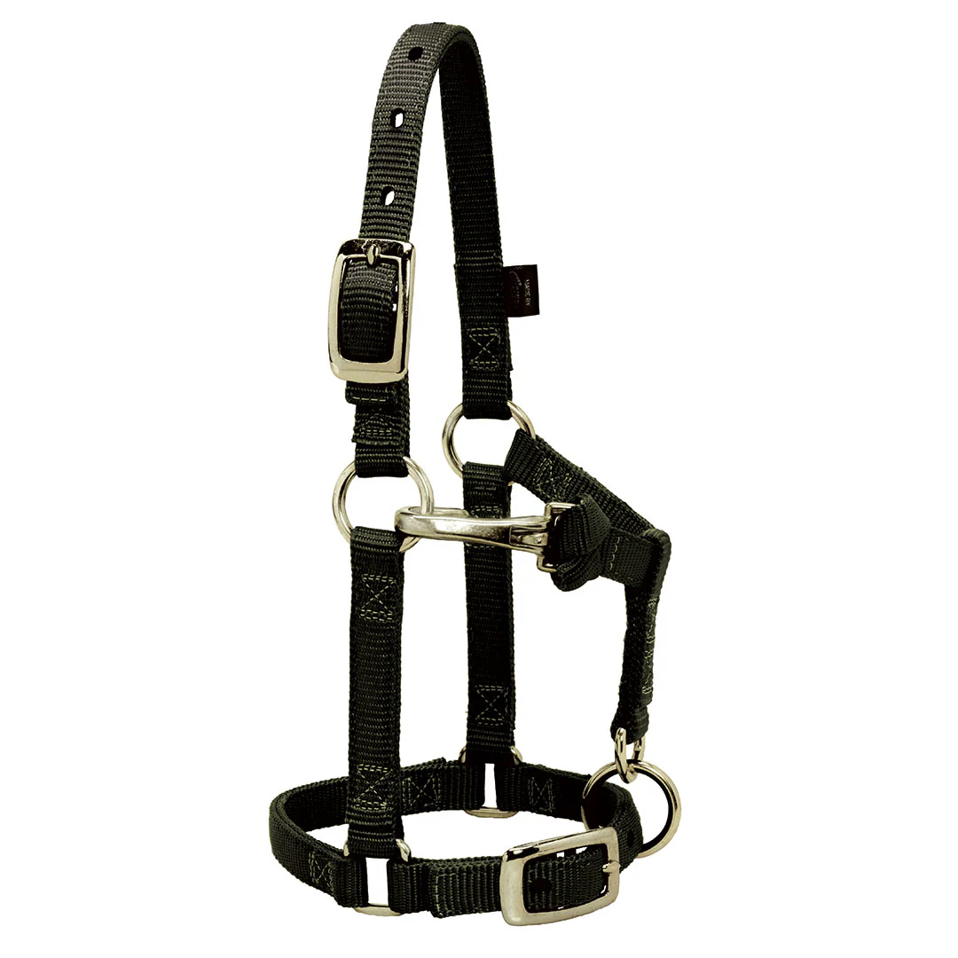 Weaver Miniature Horse Adjustable Throat Snap Halter