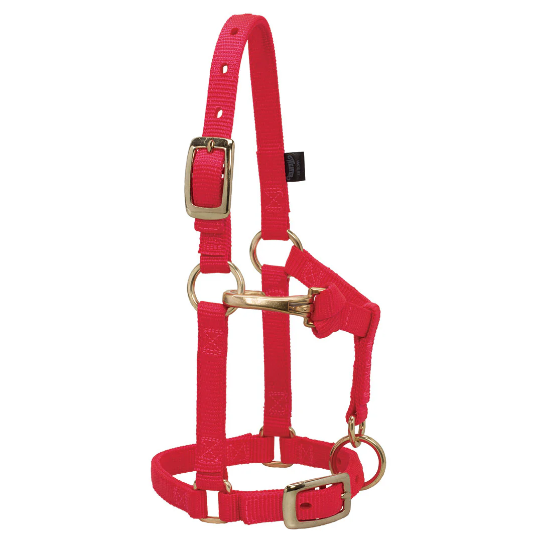 Weaver Miniature Horse Adjustable Throat Snap Halter