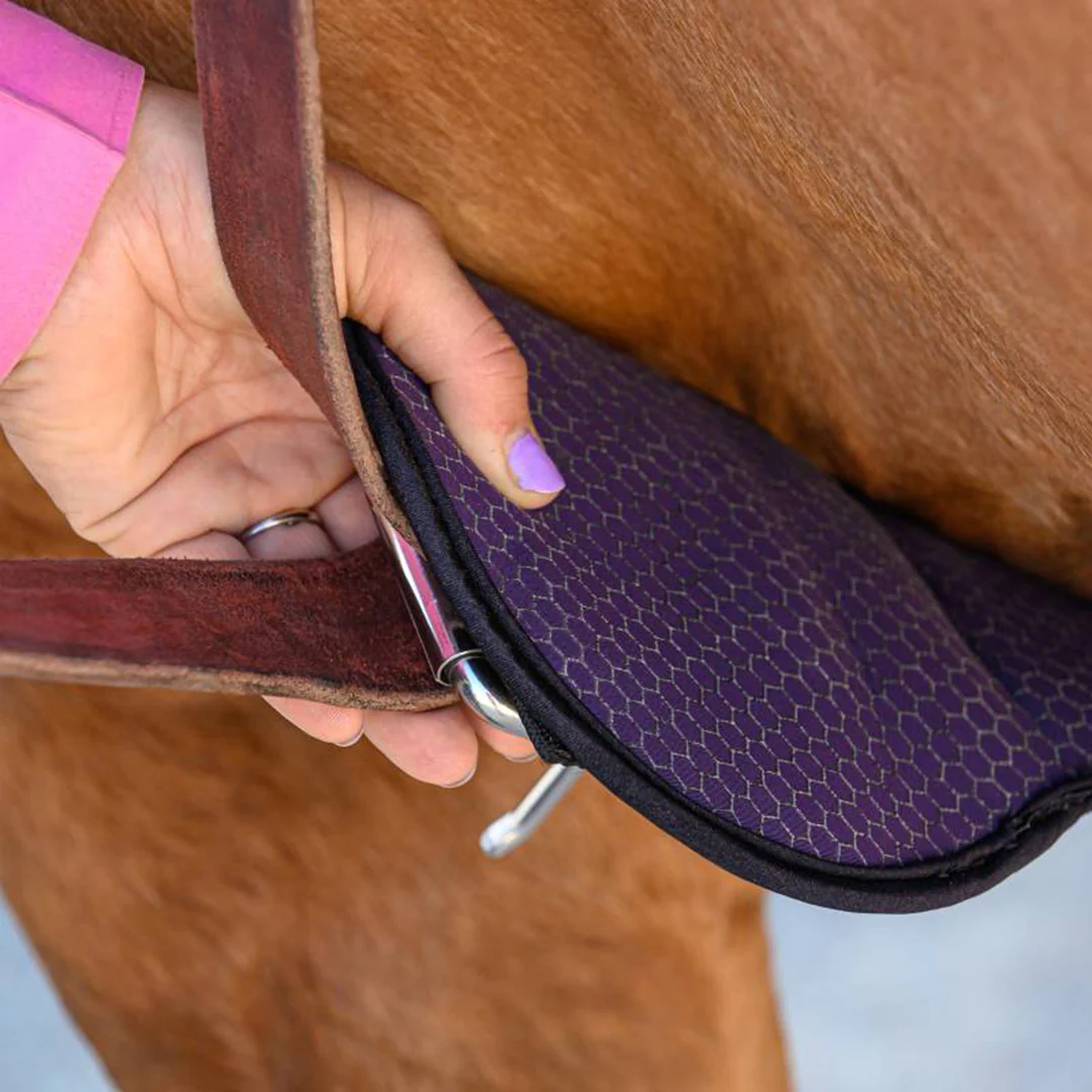 Professional's Choice 2xCool Cinch