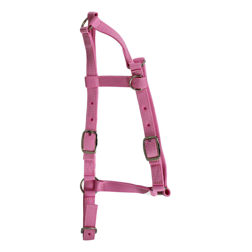 Western Rawhide Nylon Pony Halter