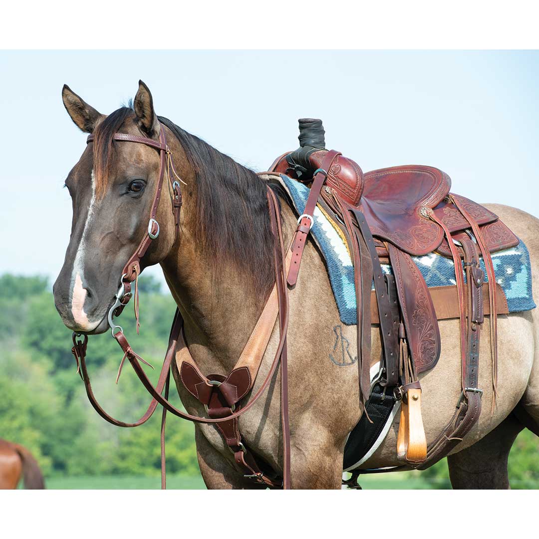 Weaver Working Tack Pineapple Knot Browband Headstall