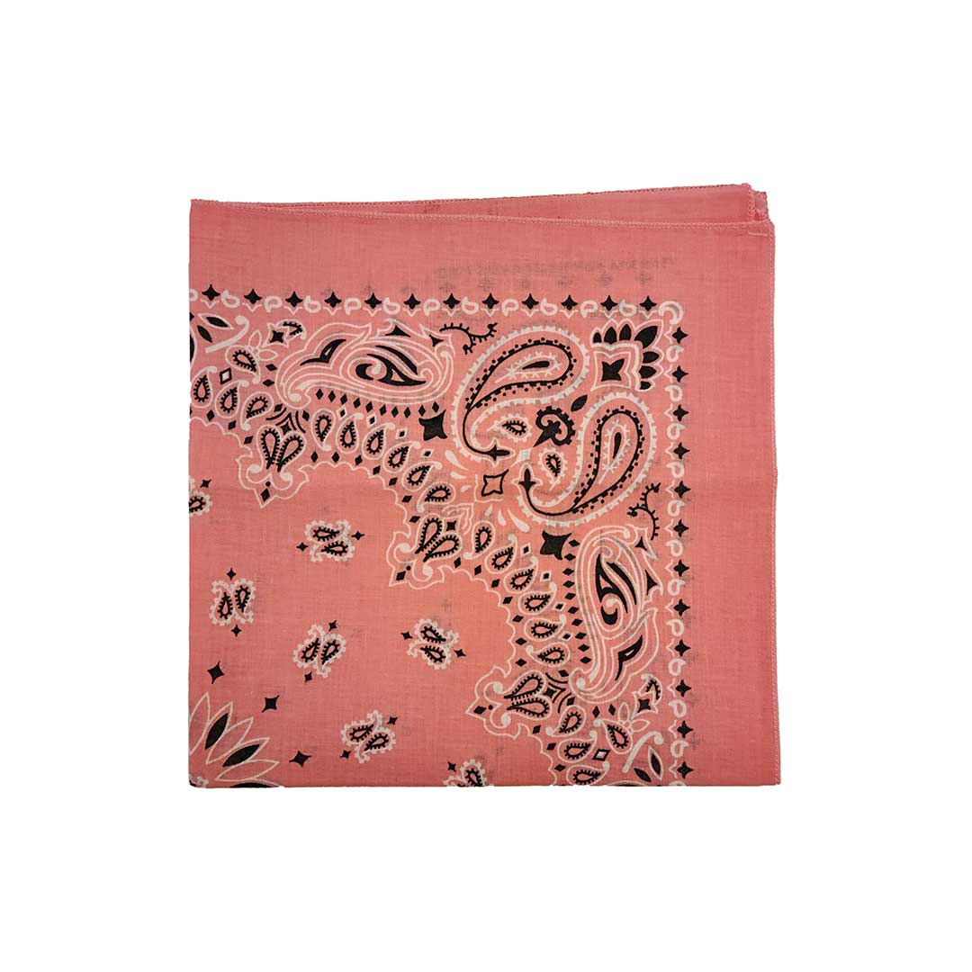 Austin Accent Paisley Print Bandana