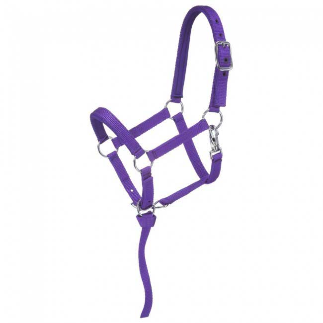 Tough 1 Nylon Padded Mini Halter