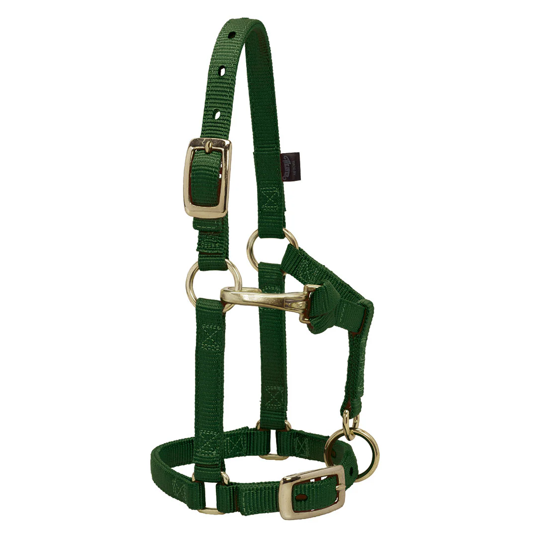 Weaver Miniature Horse Adjustable Throat Snap Halter