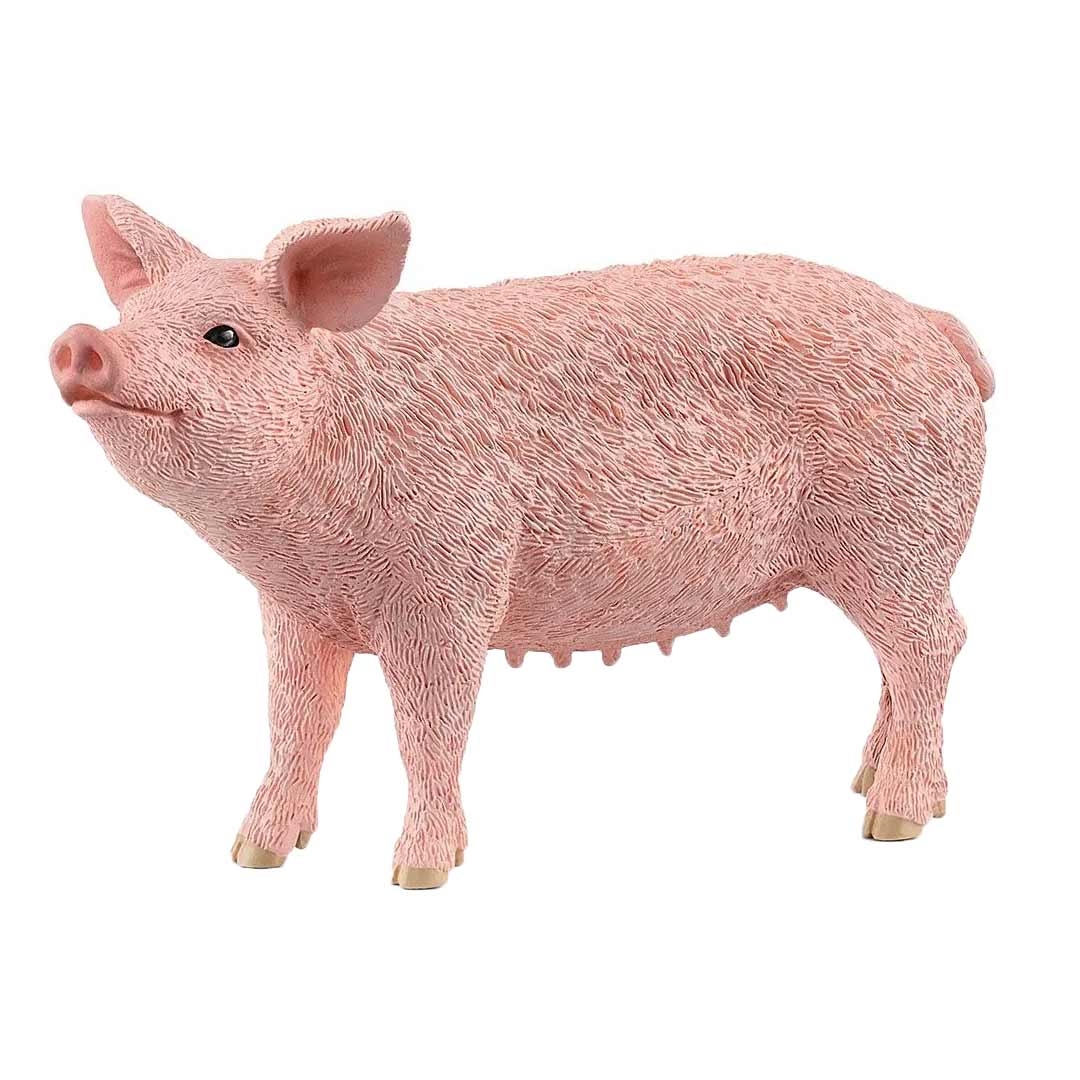 Schleich Kid's Pig Toy