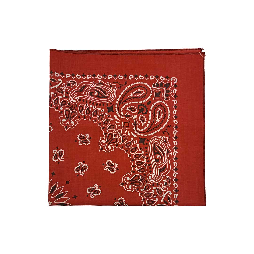 Austin Accent Paisley Print Bandana